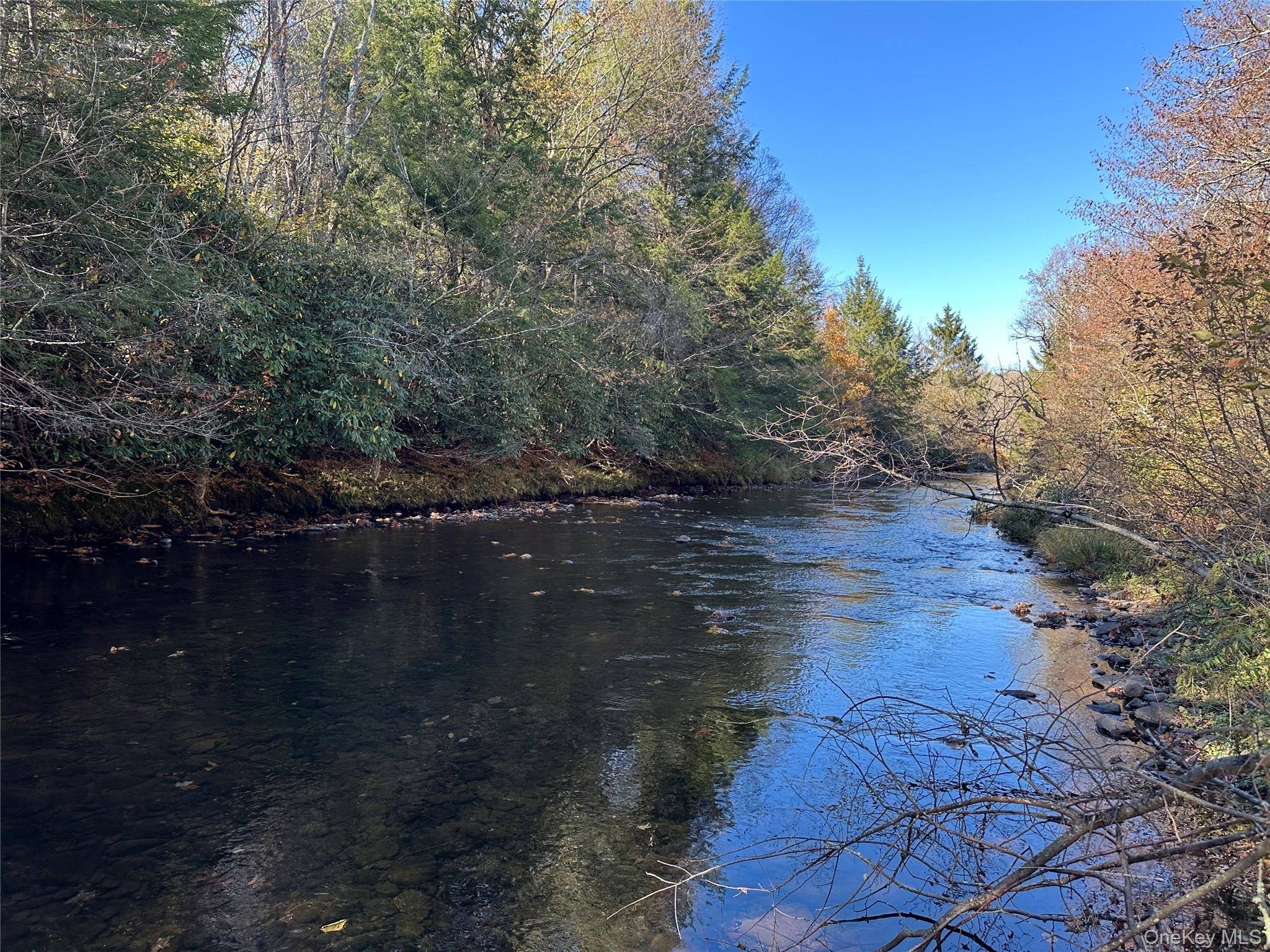 Propriedade à Venda em Livingston Manor - Nova Iorque - EUA - 1