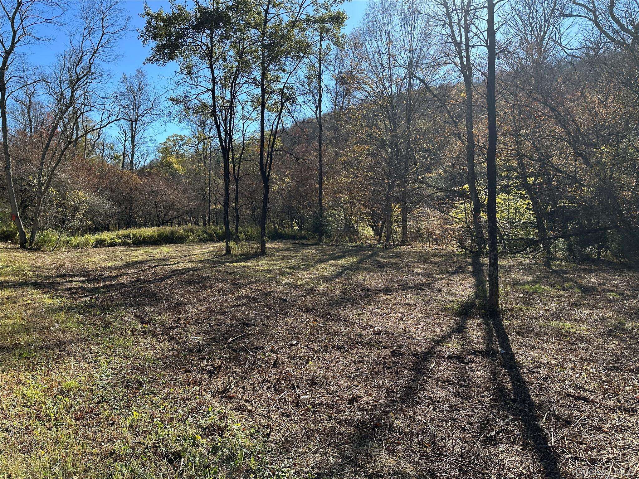 Propriedade à Venda em Livingston Manor - Nova Iorque - EUA - 2