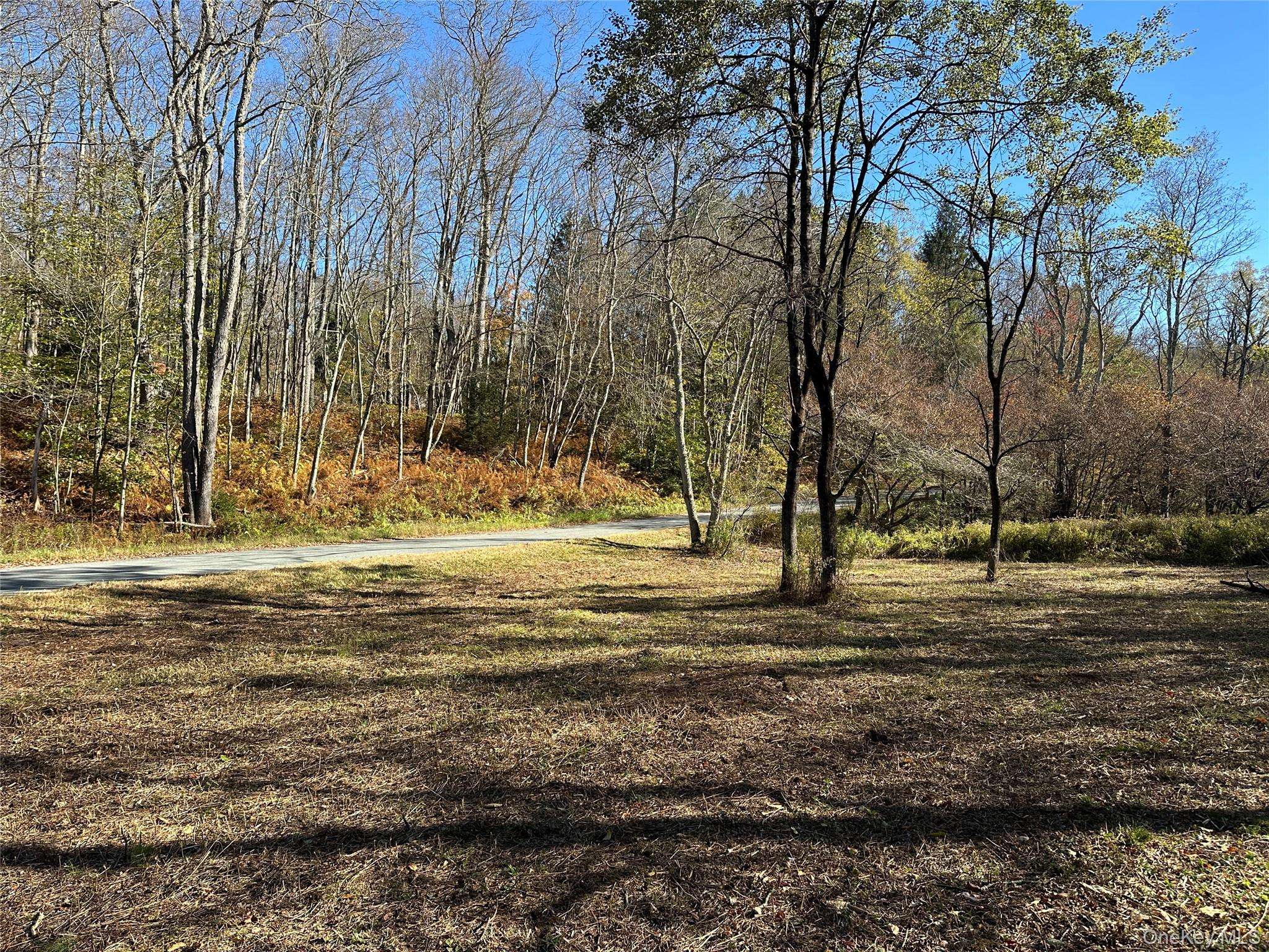 Propriedade à Venda em Livingston Manor - Nova Iorque - EUA - 3