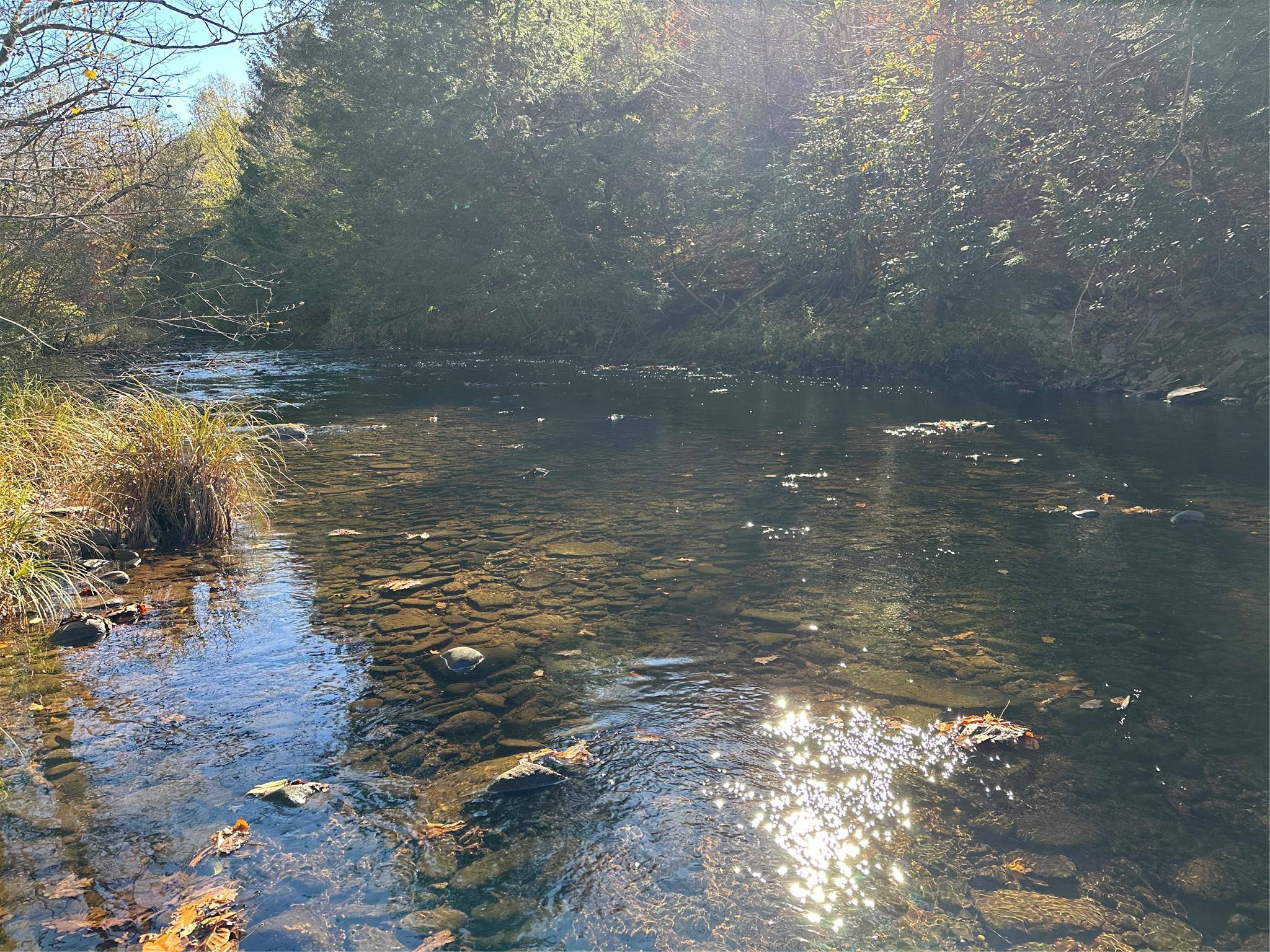 Propriedade à Venda em Livingston Manor - Nova Iorque - EUA - 4