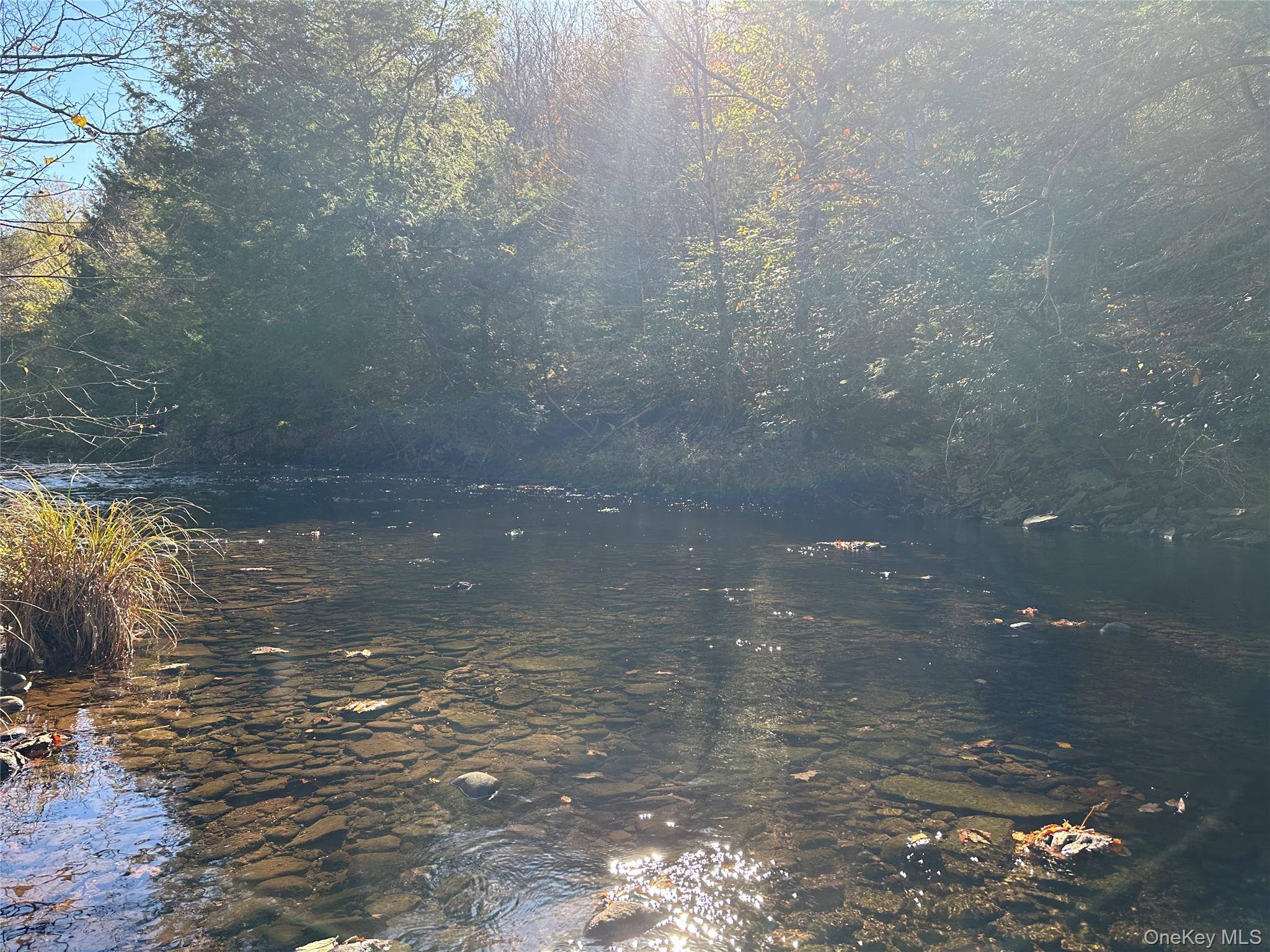Propriedade à Venda em Livingston Manor - Nova Iorque - EUA - 6