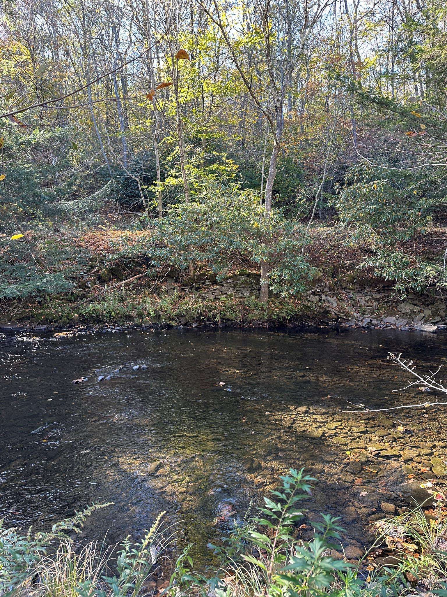 Propriedade à Venda em Livingston Manor - Nova Iorque - EUA - 7