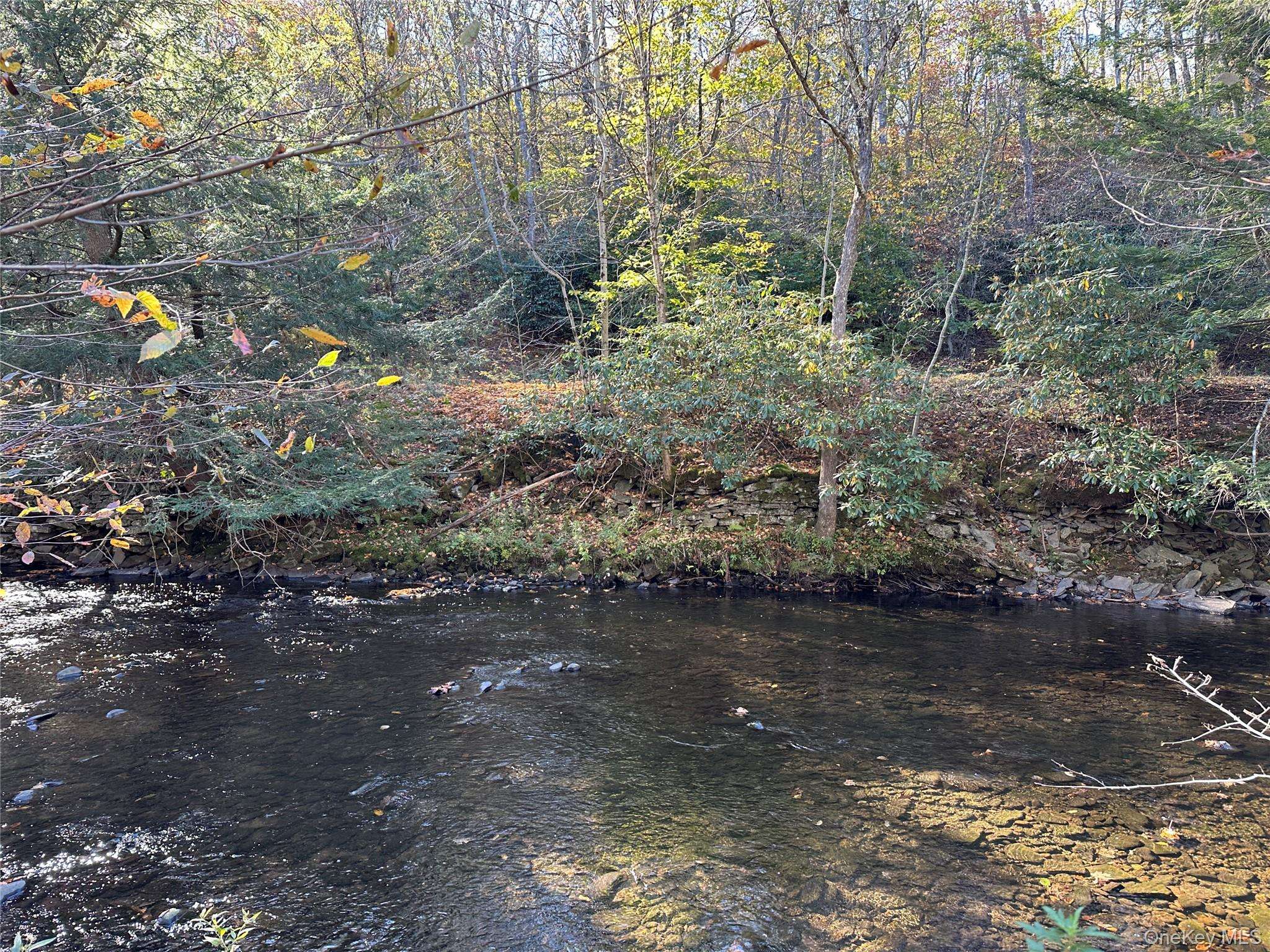 Propriedade à Venda em Livingston Manor - Nova Iorque - EUA - 8