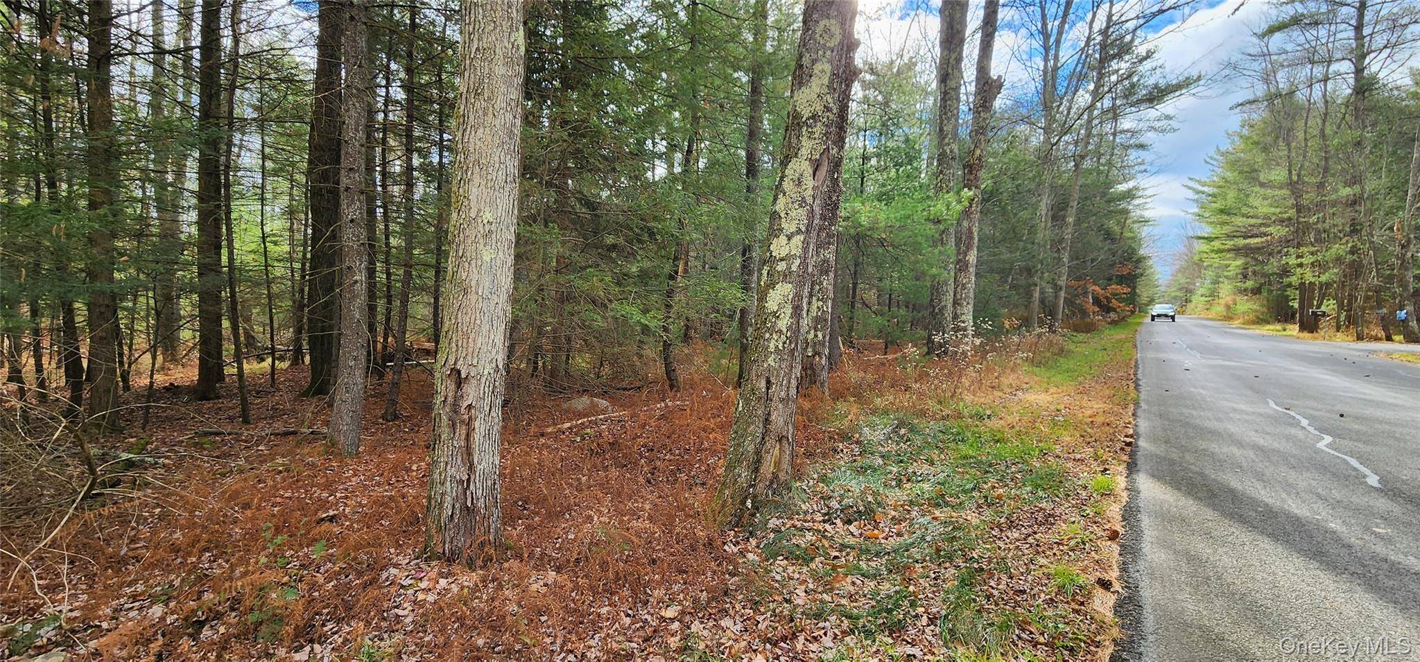 Propriedade à Venda em Monticello - Nova Iorque - EUA - 4