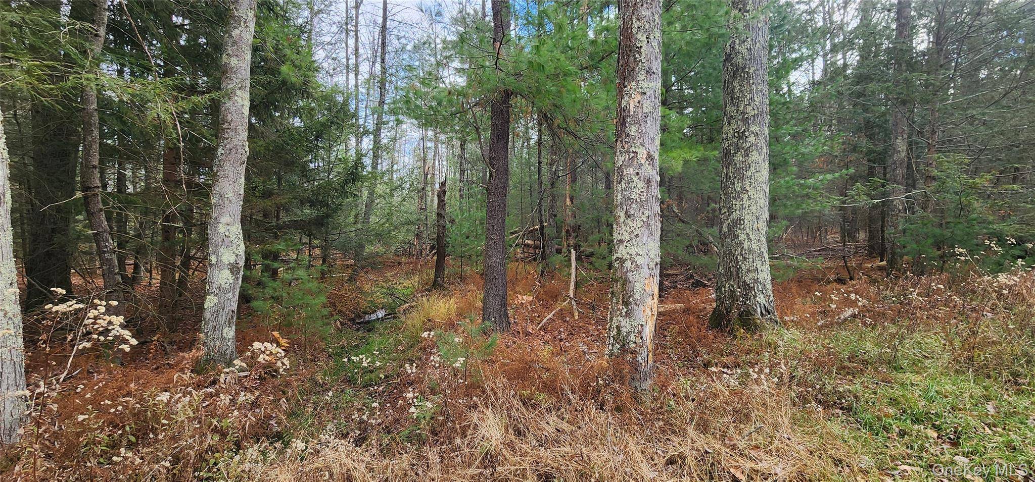 Propriedade à Venda em Monticello - Nova Iorque - EUA - 5