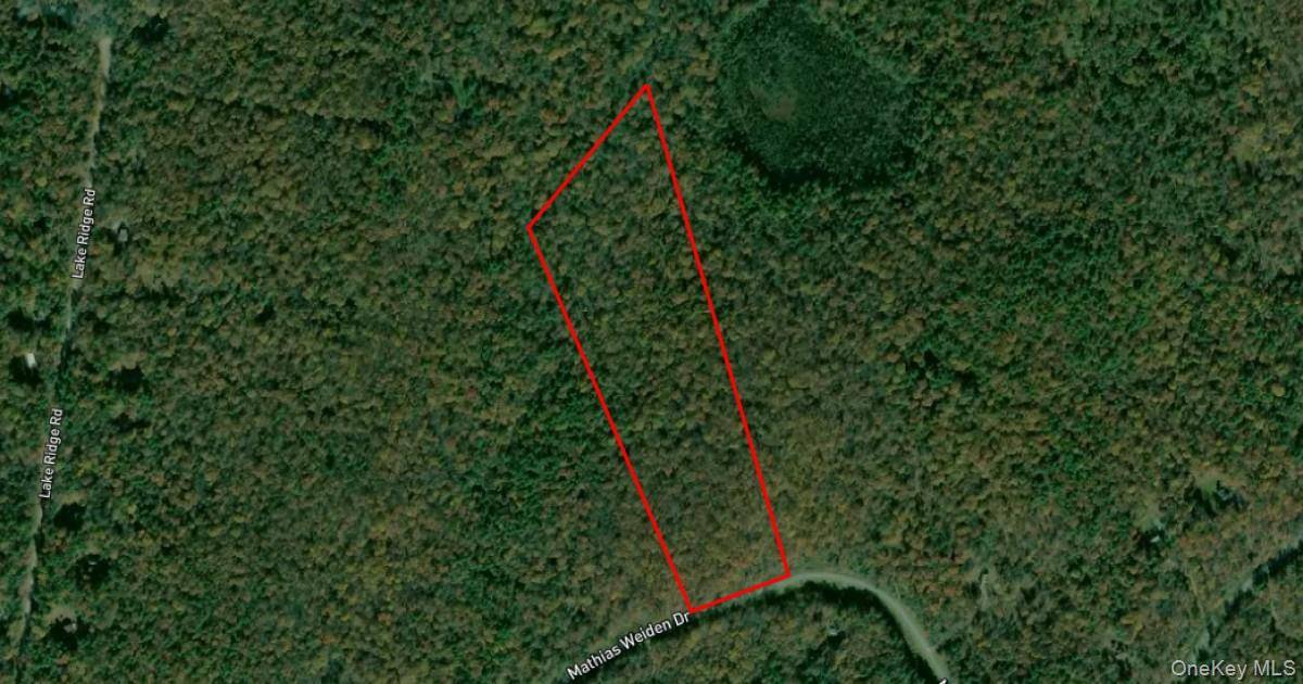 Property for Sale in Narrowsburg - New York - USA - 1