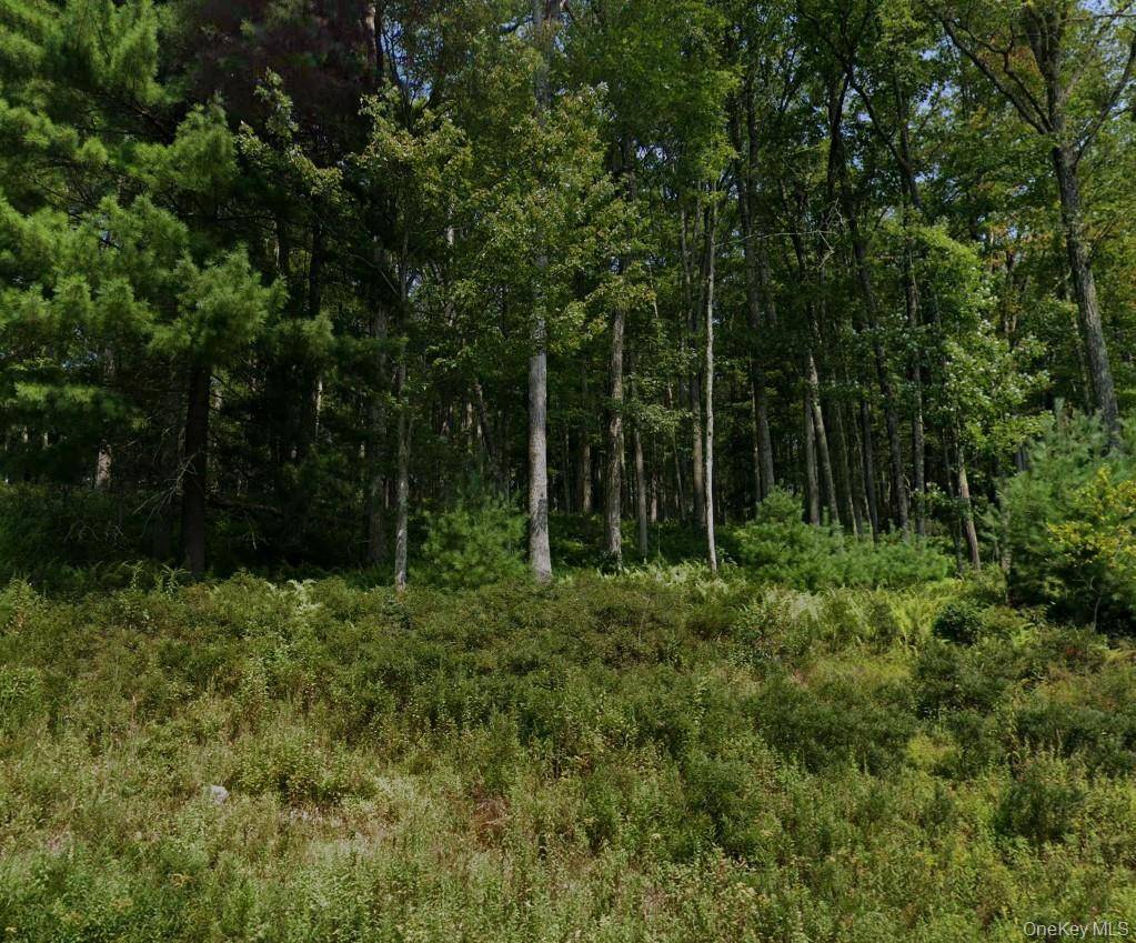 Property for Sale in Narrowsburg - New York - USA - 2