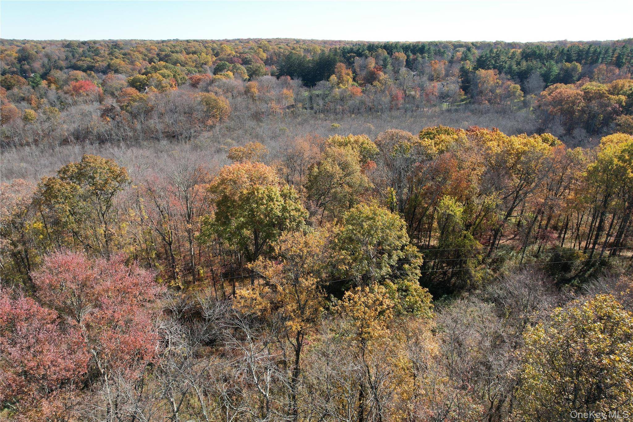 Propriedade à Venda em Pound Ridge - Nova Iorque - EUA - 3