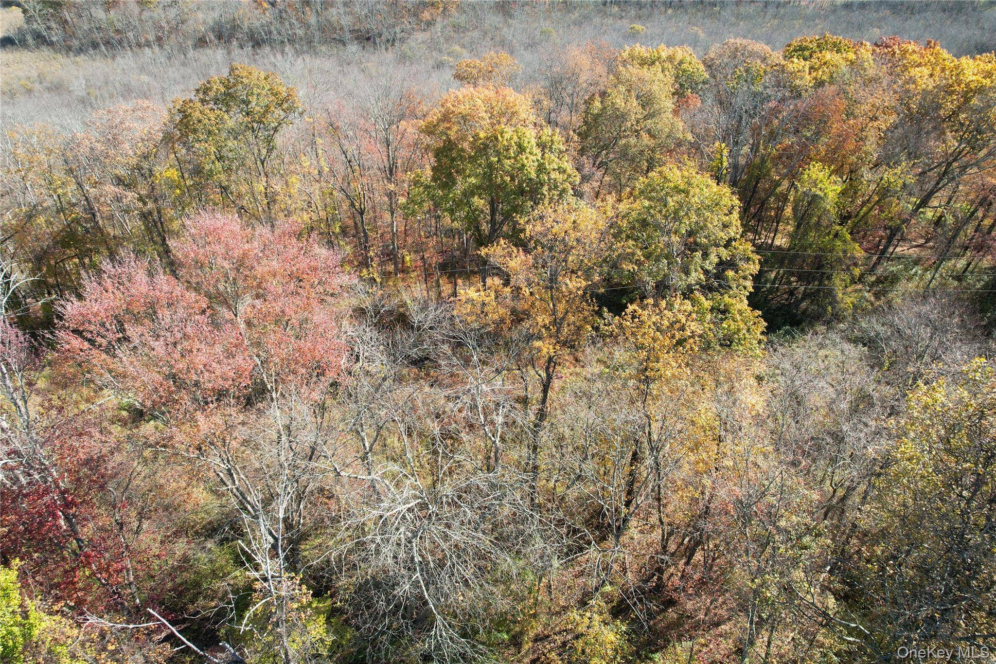 Propriedade à Venda em Pound Ridge - Nova Iorque - EUA - 4