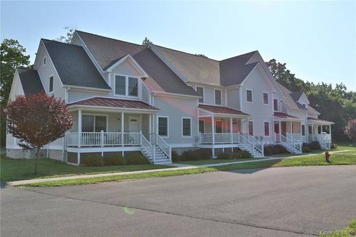 Residential and Commercial Complex for Sale in Red Hook - NY - USA - 4