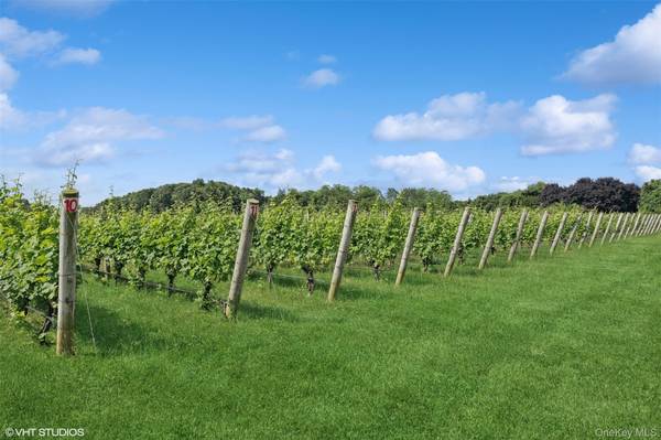 Vignoble et Distillerie à Vendre à Southold - NY - USA - 8