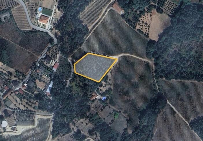 Propriété à Vendre à Viseu - Portugal - 1