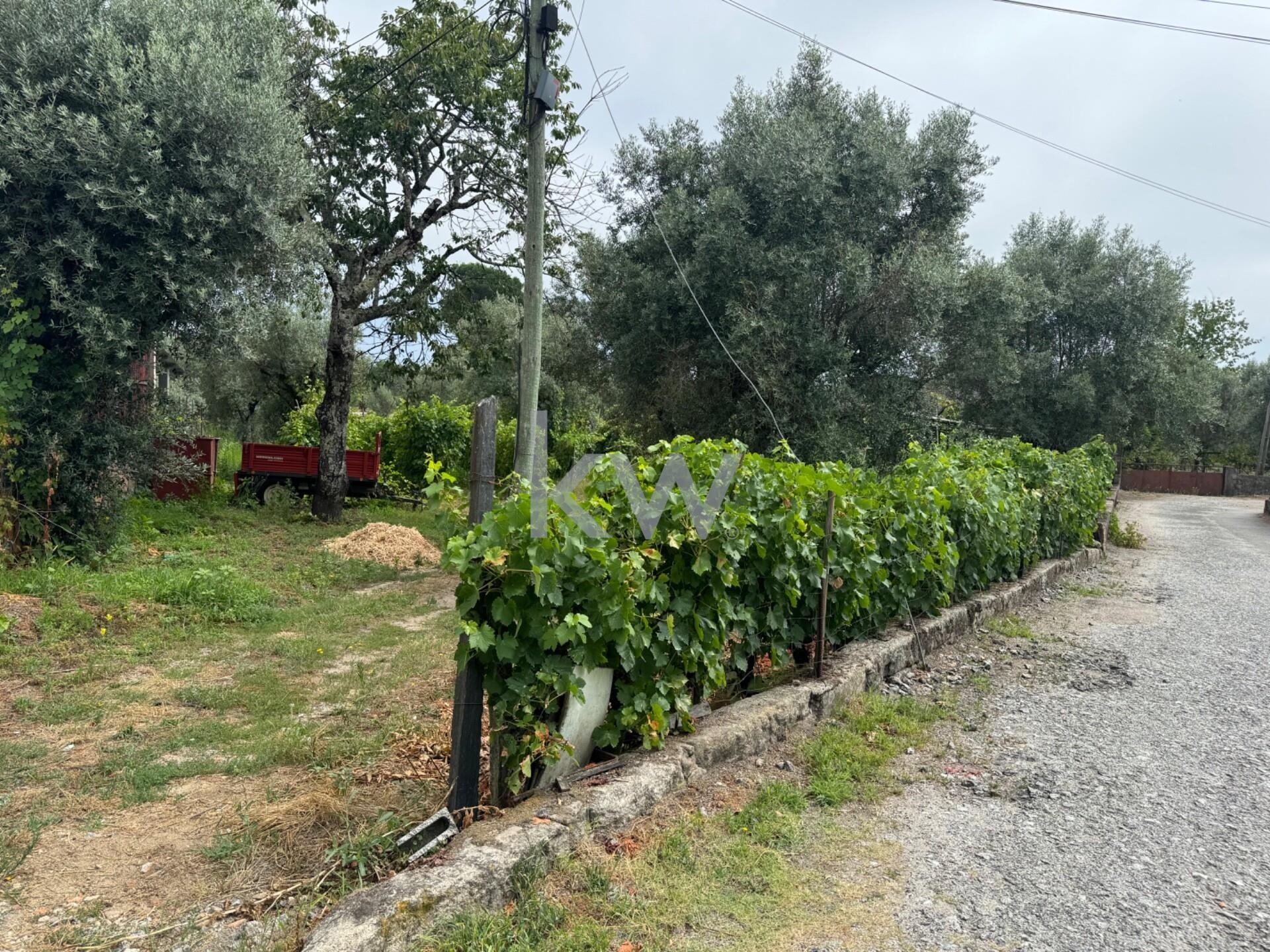 Propriedade à Venda em Viseu - Portugal - 1