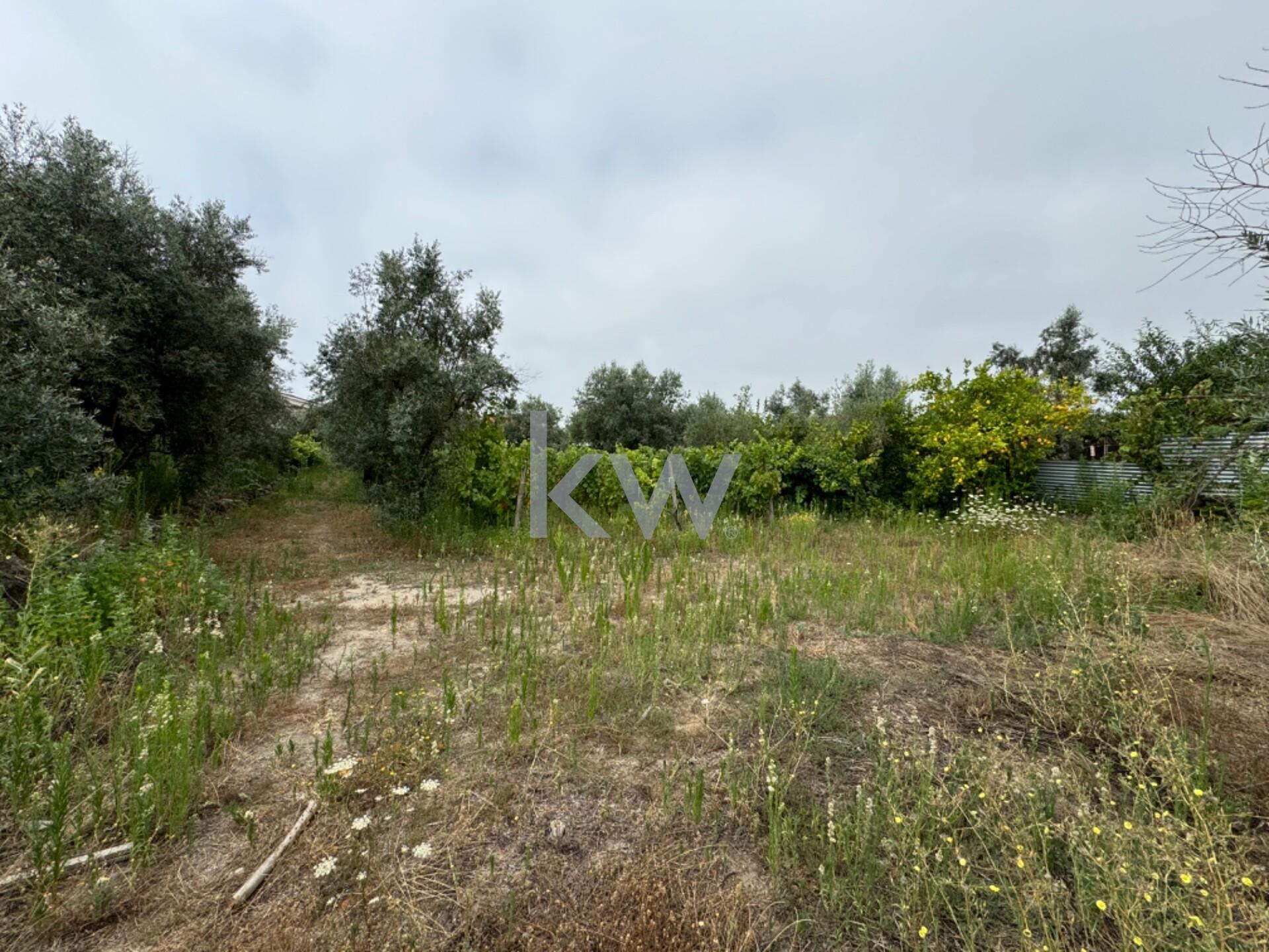 Propriedade à Venda em Viseu - Portugal - 6