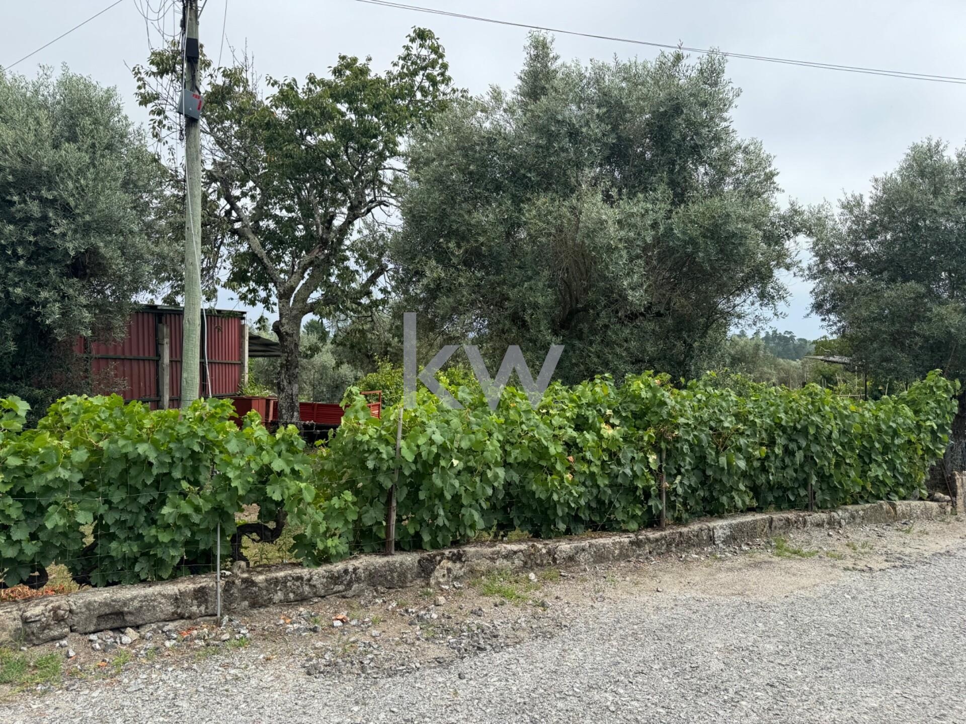 Propriedade à Venda em Viseu - Portugal - 8