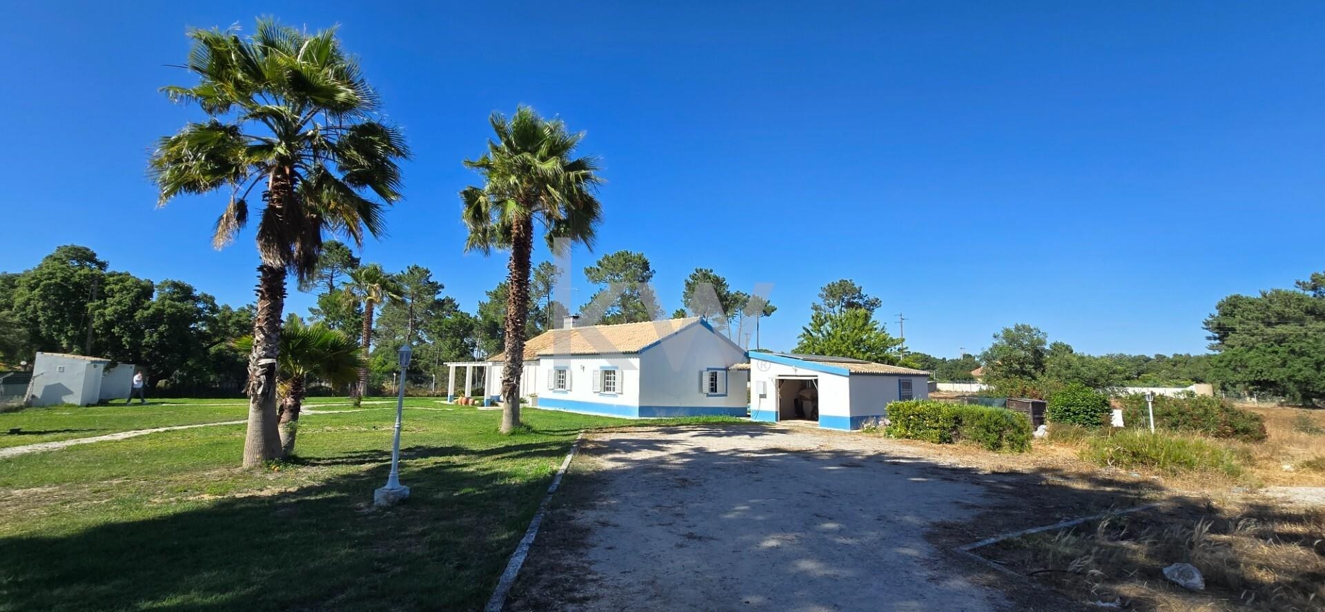 Quinta T4 à Venda em Setúbal - Portugal - 5
