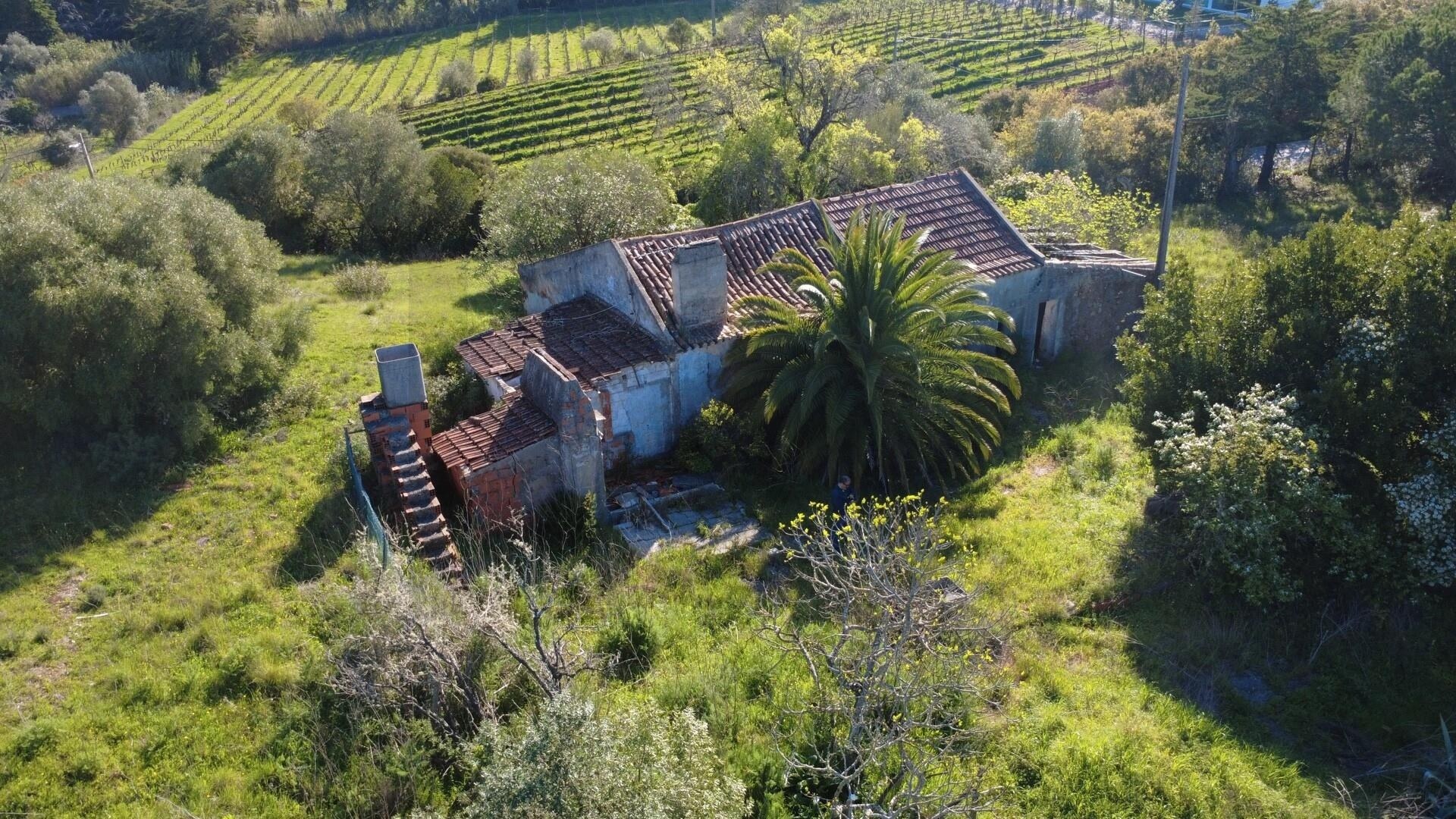 Quinta T4 à Venda em Setúbal - Portugal - 3