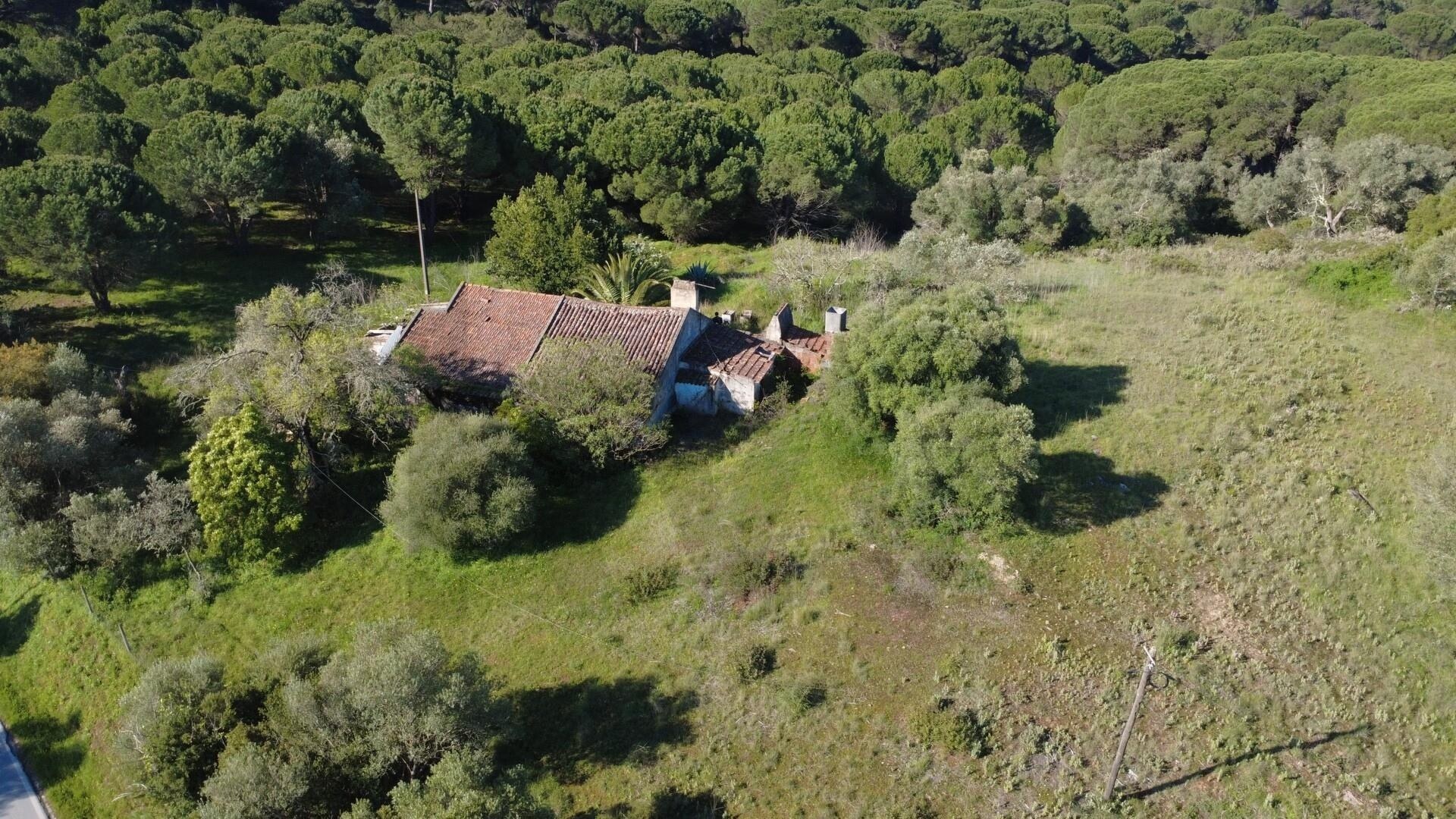 Quinta T4 à Venda em Setúbal - Portugal - 5