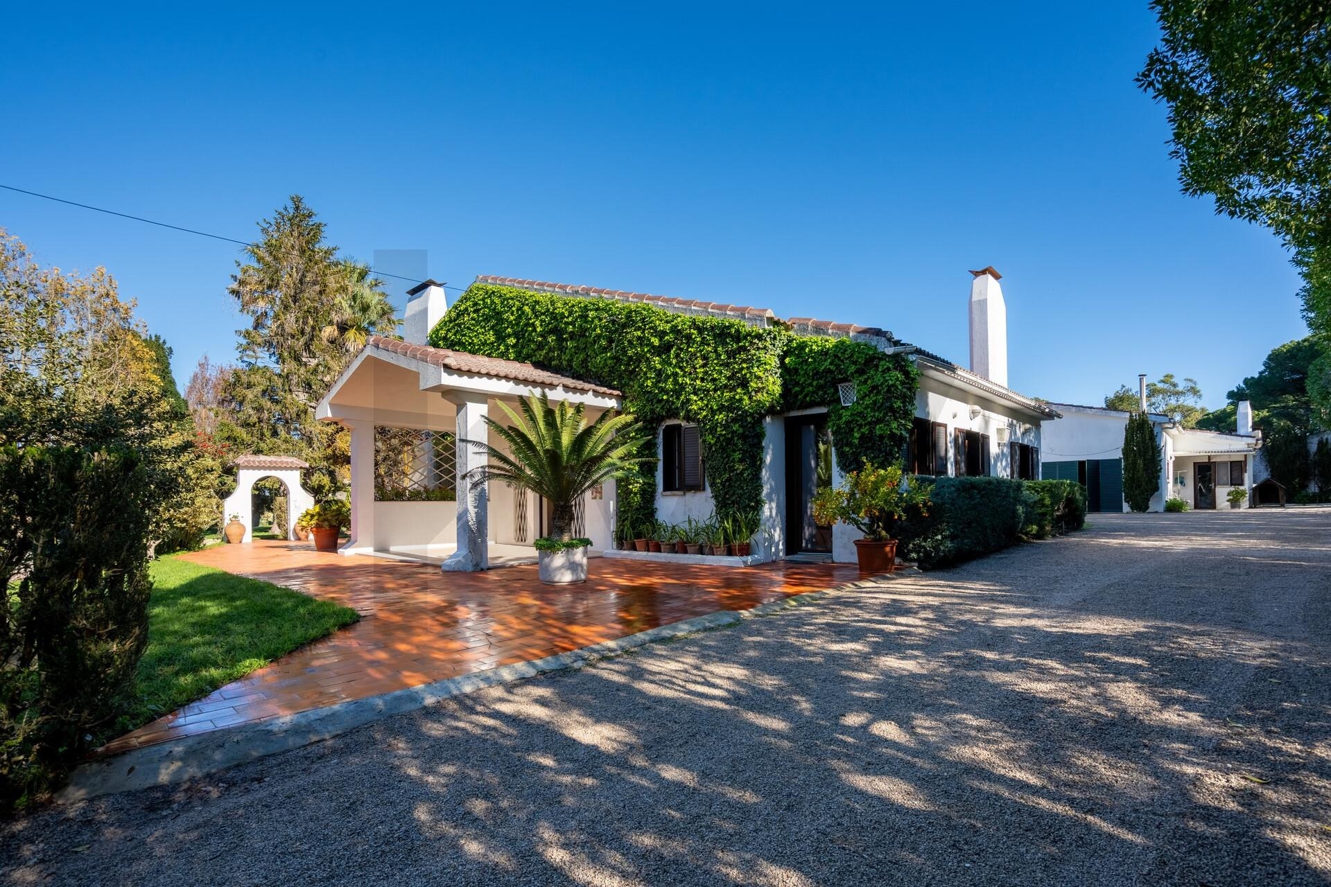Quinta T5+ à Venda em Setúbal - Portugal - 8