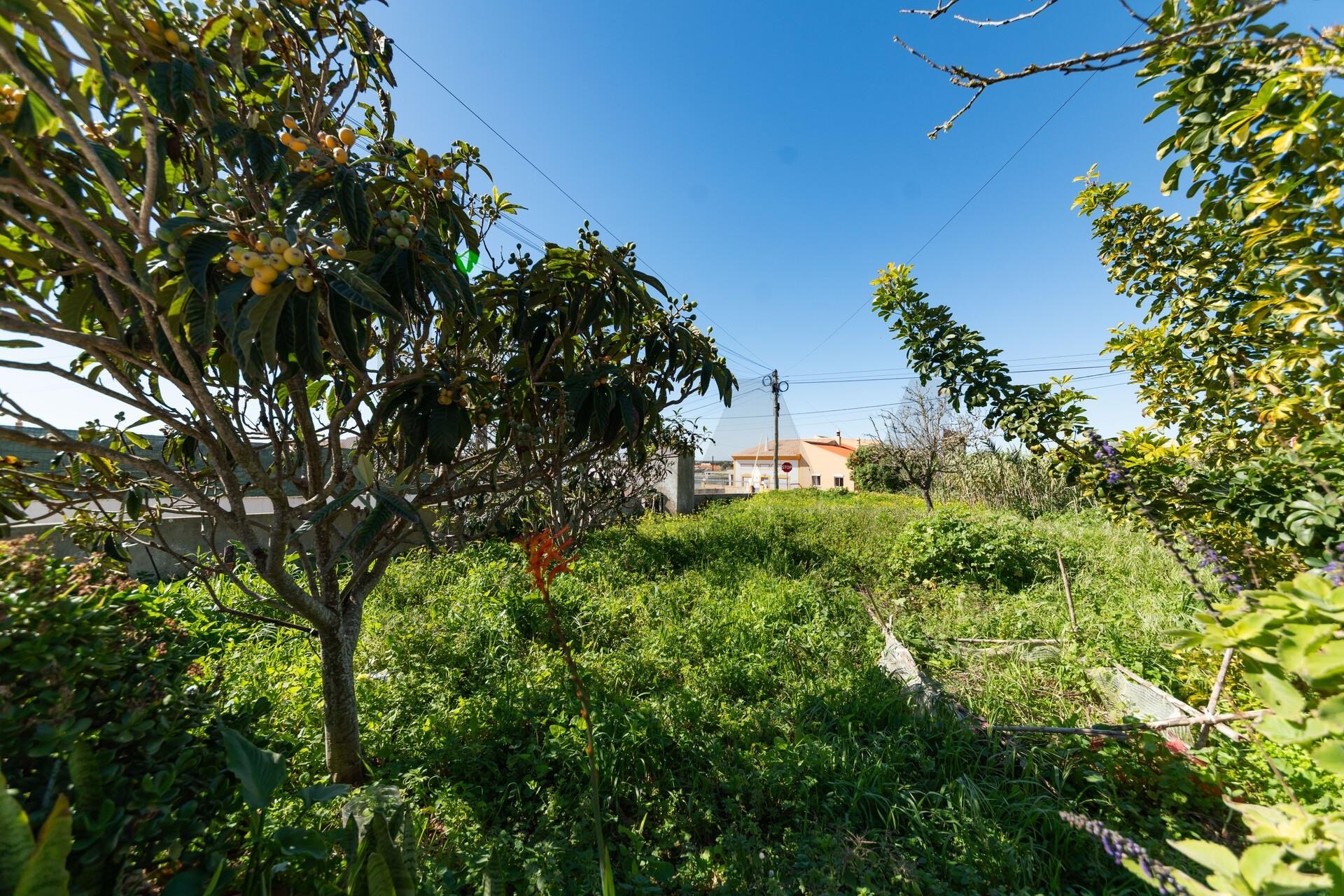 Moradia T4 à Venda em Sagres - Faro - Portugal - 4