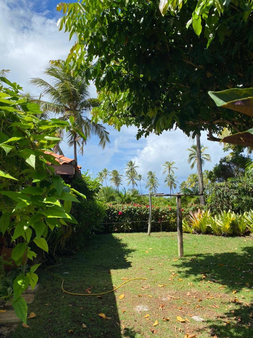 Sítio à Venda em Maraú - Bahia - Brasil - 4
