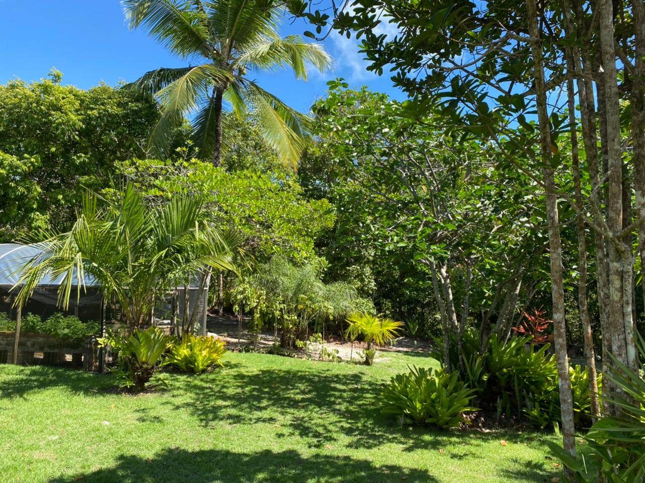 Sítio à Venda em Maraú - Bahia - Brasil - 5