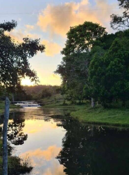 Sítio à Venda em Uruçuca - Bahia - Brasil - 2