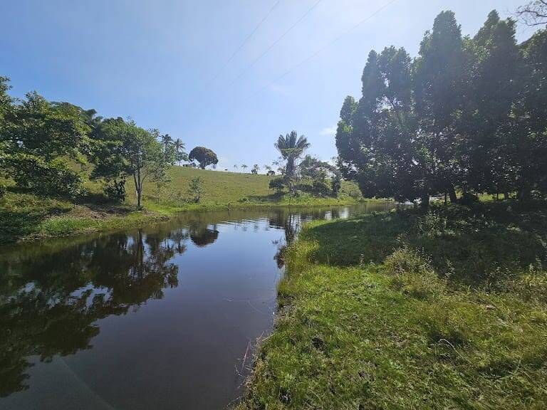 Sítio à Venda em Uruçuca - Bahia - Brasil - 3