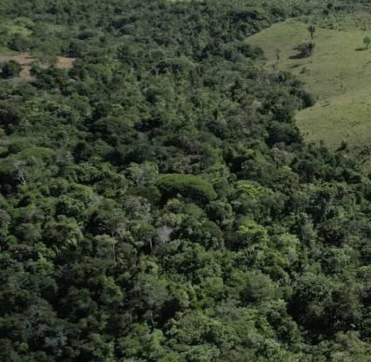 Sítio à Venda em Uruçuca - Bahia - Brasil - 6