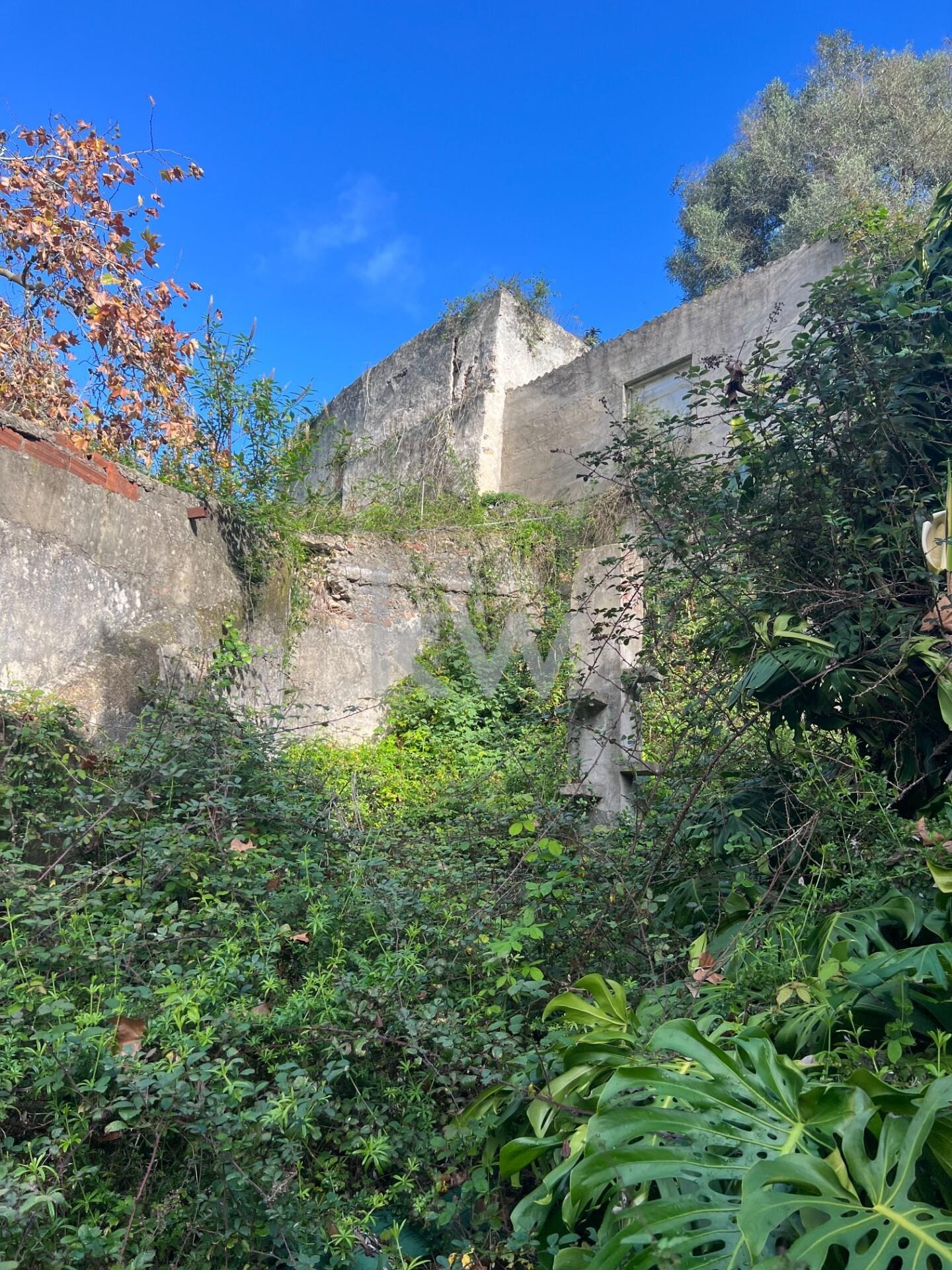 Terreno à Venda em Sintra - Lisboa - Portugal - 3