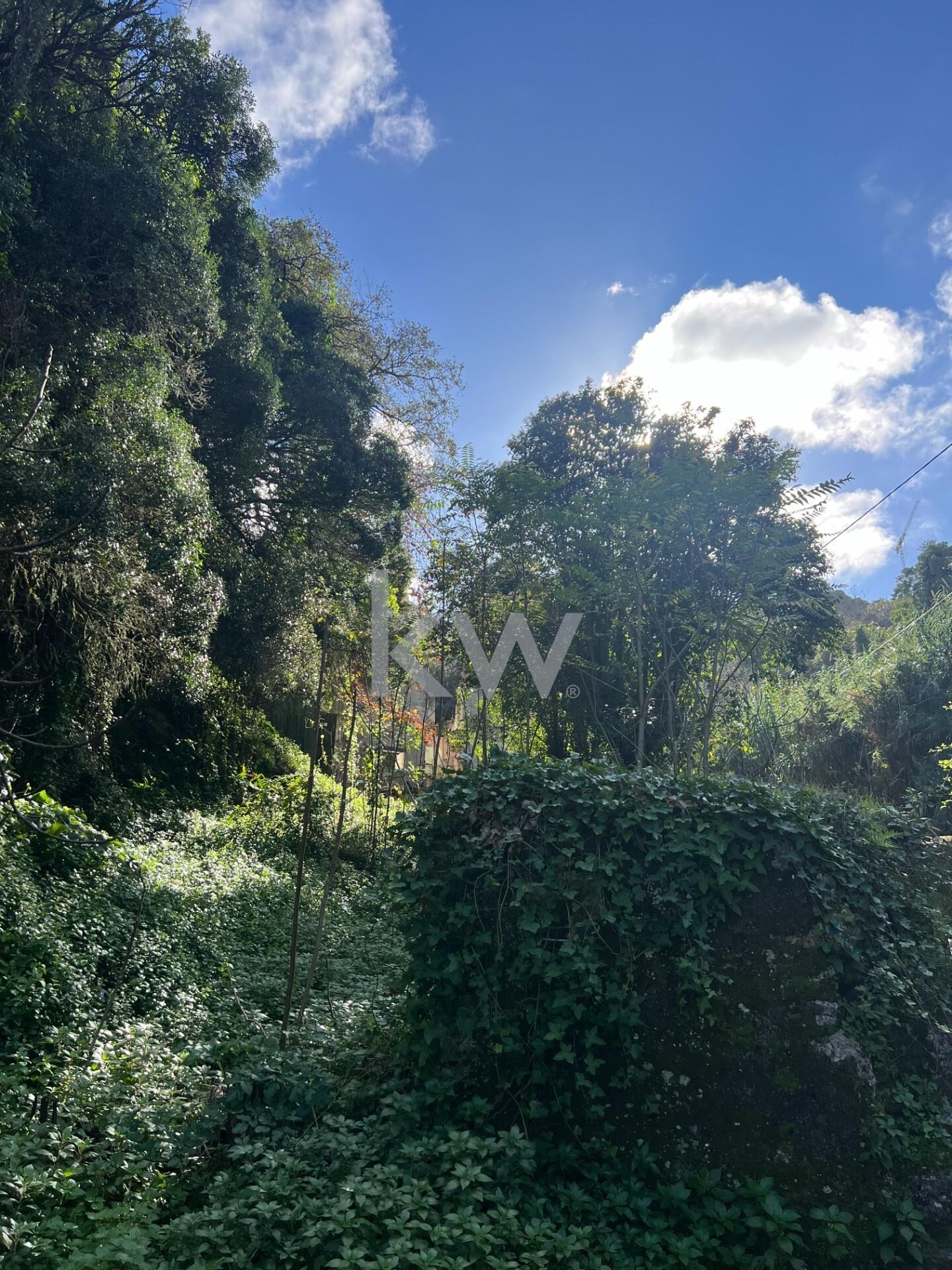Terreno à Venda em Sintra - Lisboa - Portugal - 4