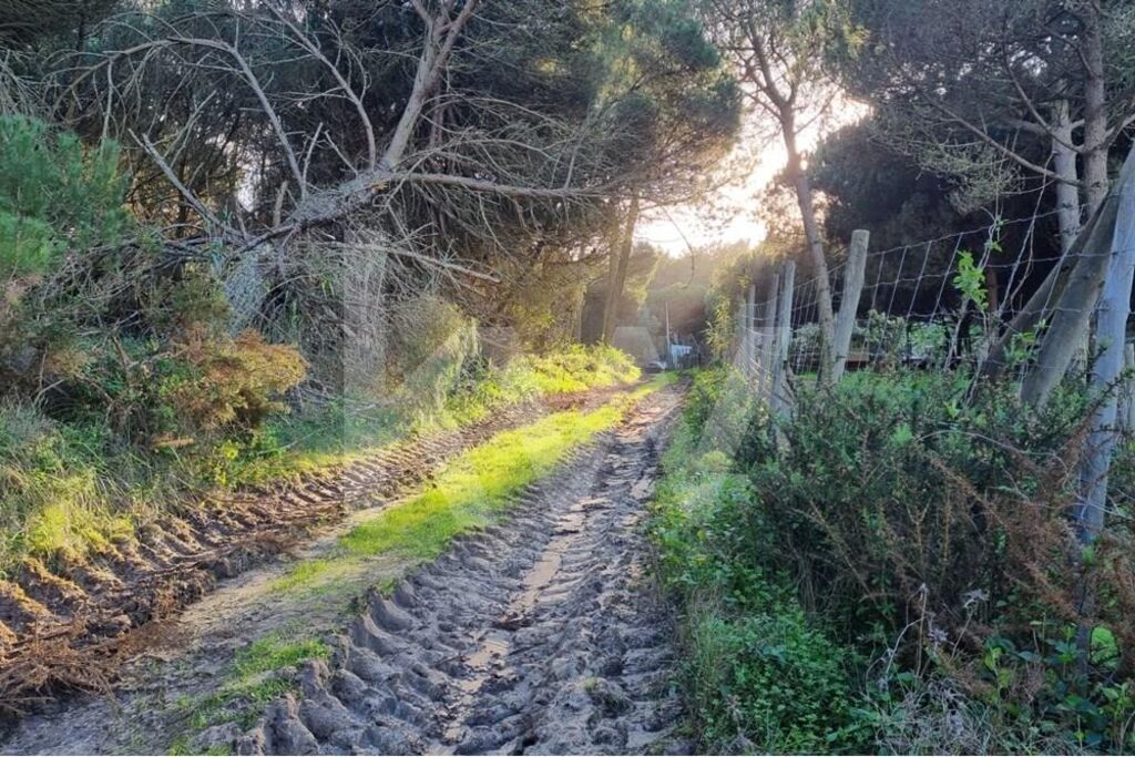 Terreno à Venda em Sintra - Lisboa - Portugal - 1