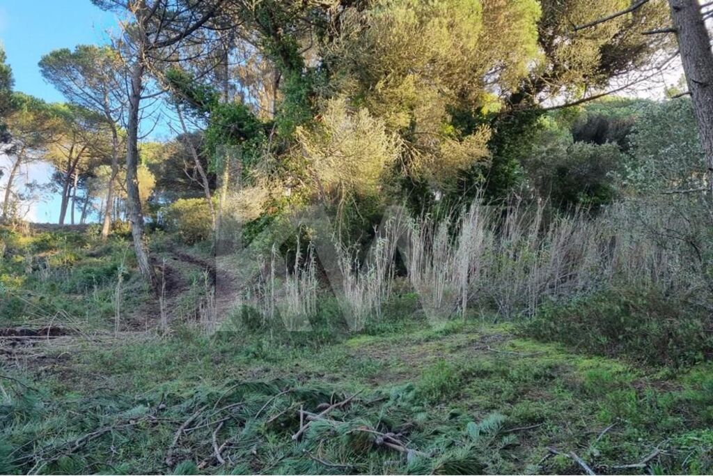 Terreno à Venda em Sintra - Lisboa - Portugal - 2