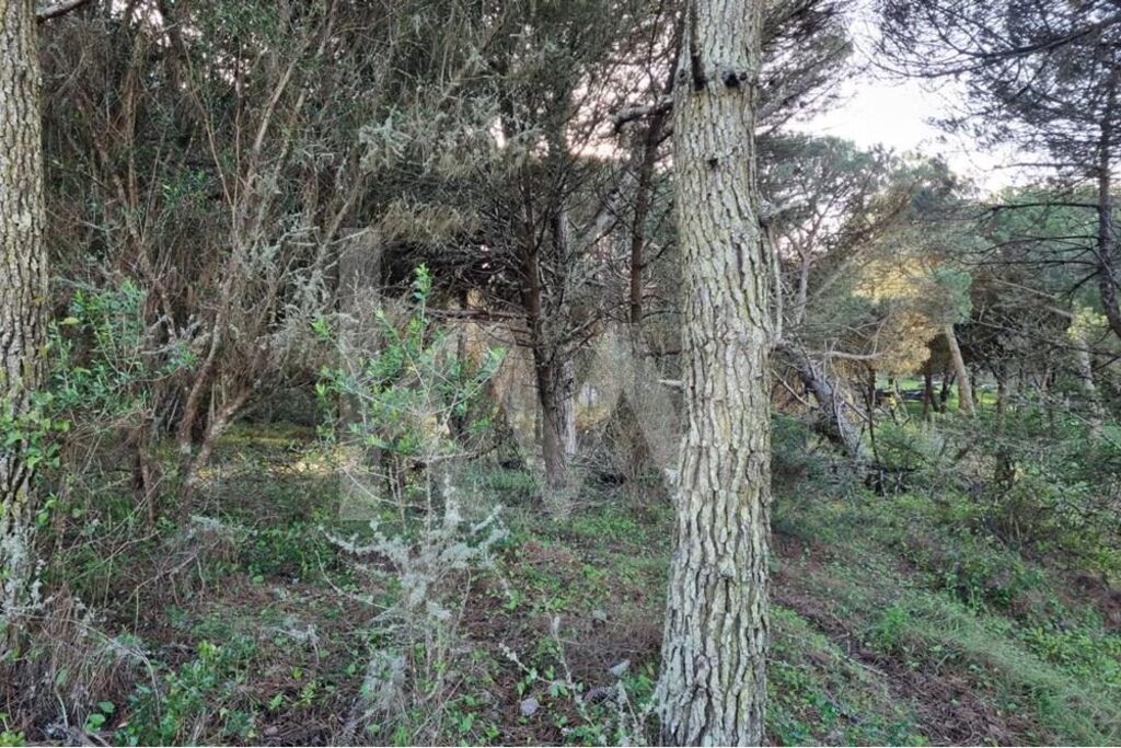 Terreno à Venda em Sintra - Lisboa - Portugal - 4