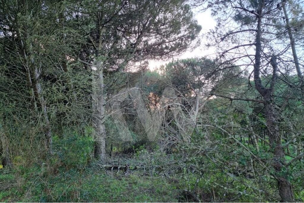 Terreno à Venda em Sintra - Lisboa - Portugal - 5