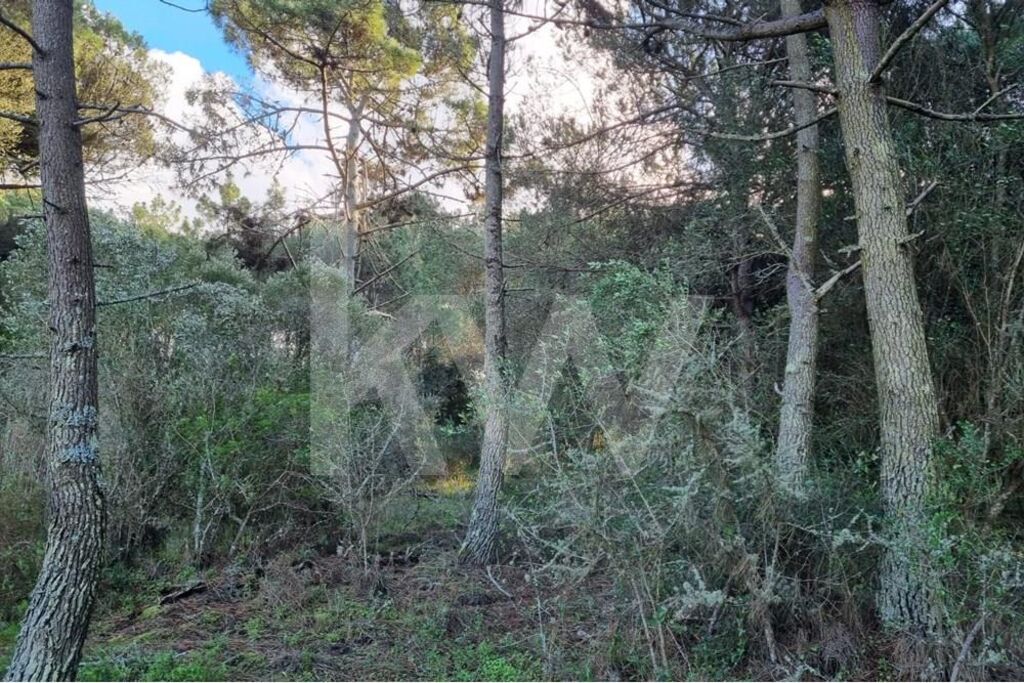 Terreno à Venda em Sintra - Lisboa - Portugal - 7