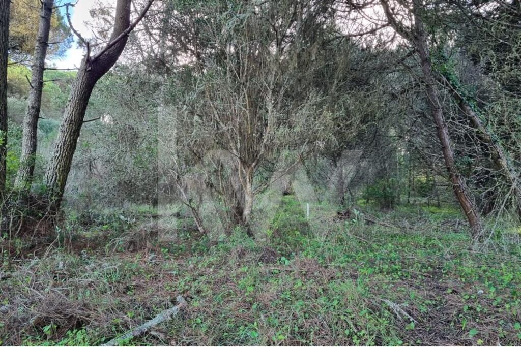 Terreno à Venda em Sintra - Lisboa - Portugal - 8