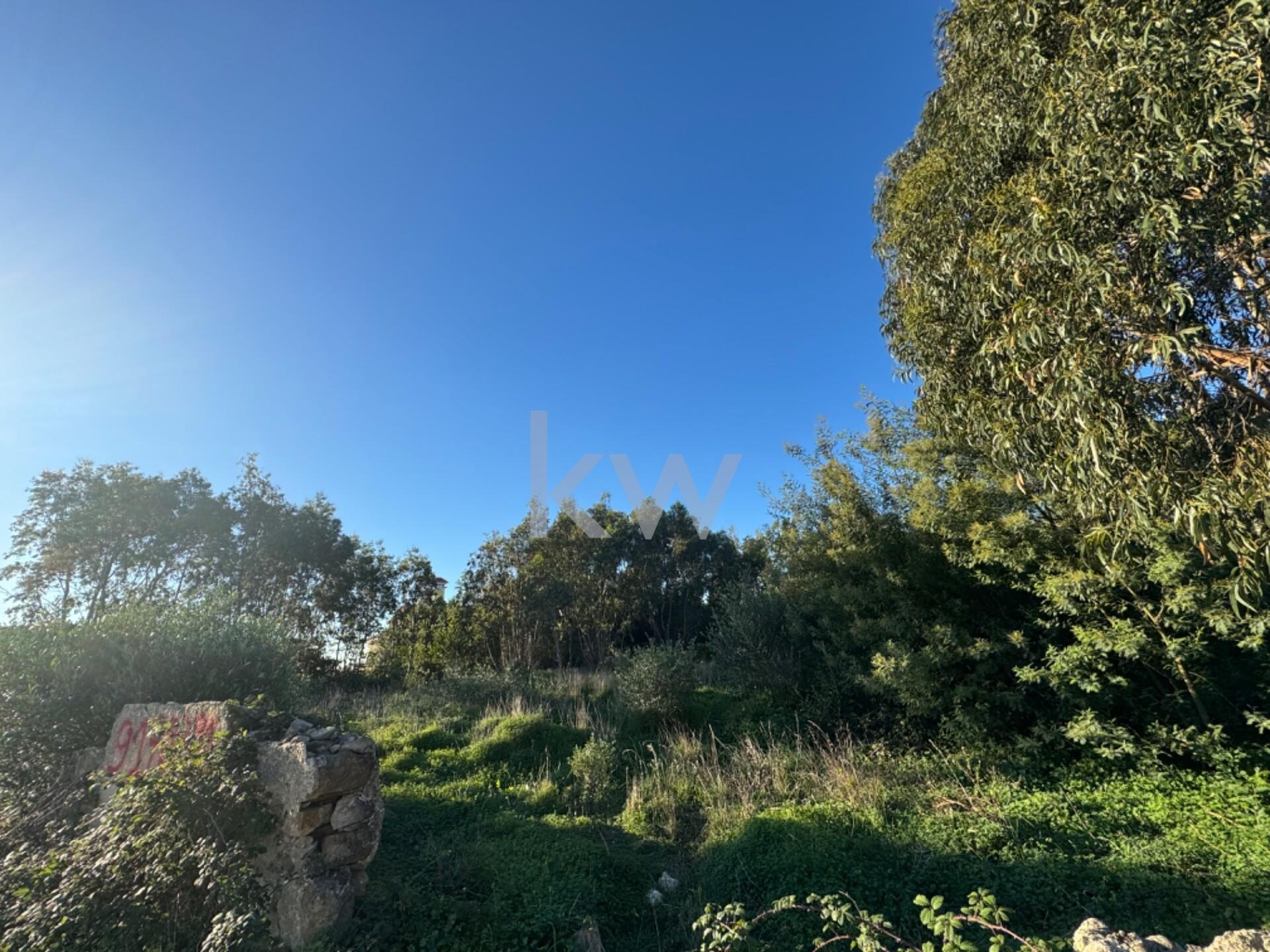 Terreno à Venda em Alcabideche - Lisboa - Portugal - 5