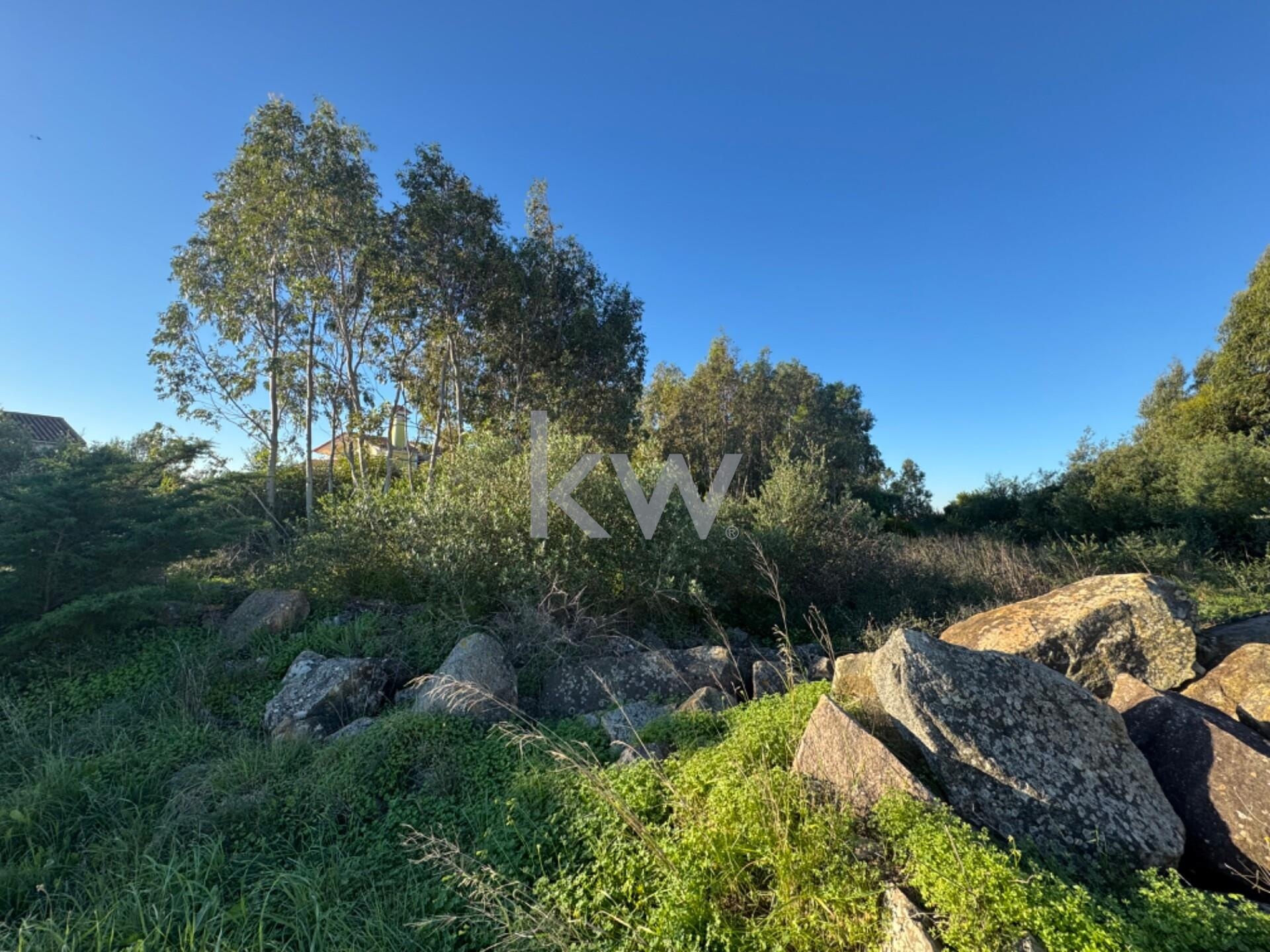 Terreno à Venda em Alcabideche - Lisboa - Portugal - 7