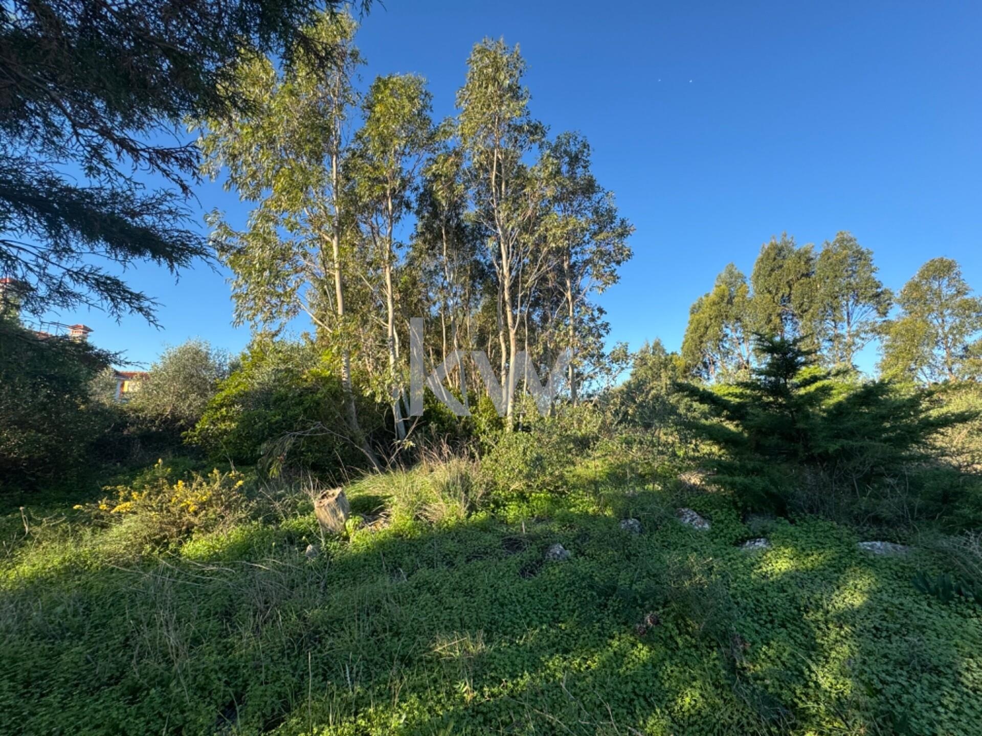 Terreno à Venda em Alcabideche - Lisboa - Portugal - 8