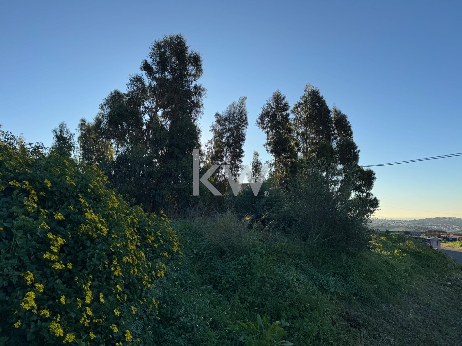 Terreno à Venda em Alcabideche - Lisboa - Portugal - 7