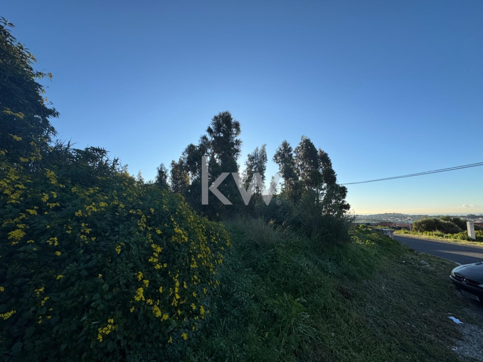 Terreno à Venda em Alcabideche - Lisboa - Portugal - 8