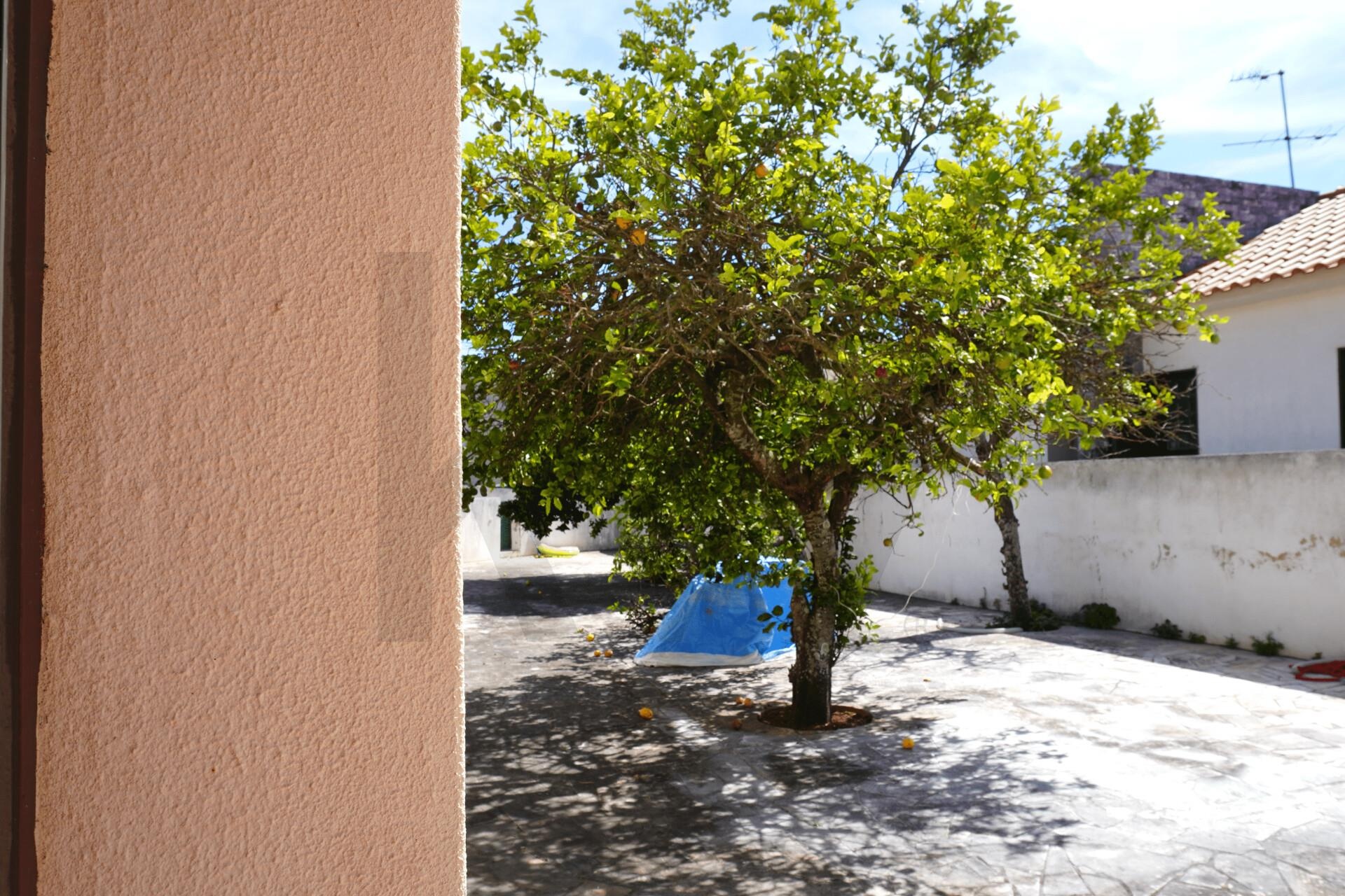 Terreno à Venda em Alcabideche - Lisboa - Portugal - 8