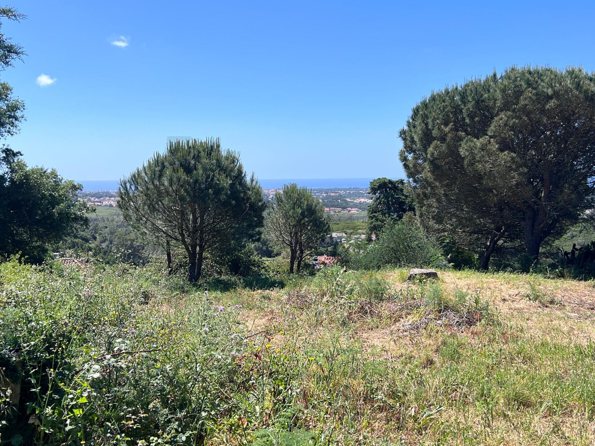 Terreno à Venda em Alcabideche - Lisboa - Portugal - 1