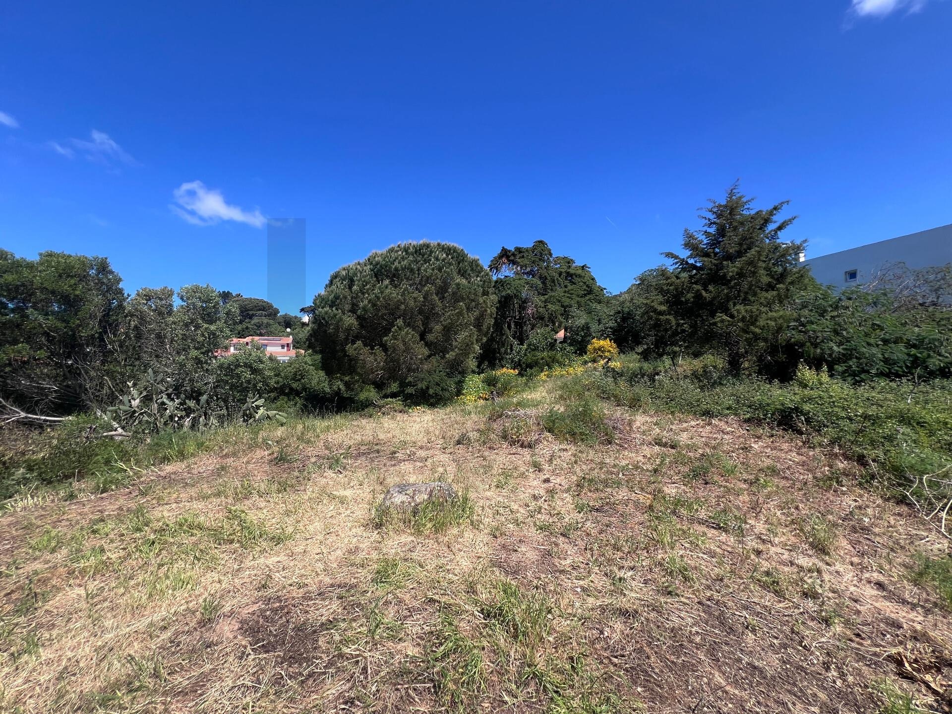 Terreno à Venda em Alcabideche - Lisboa - Portugal - 2