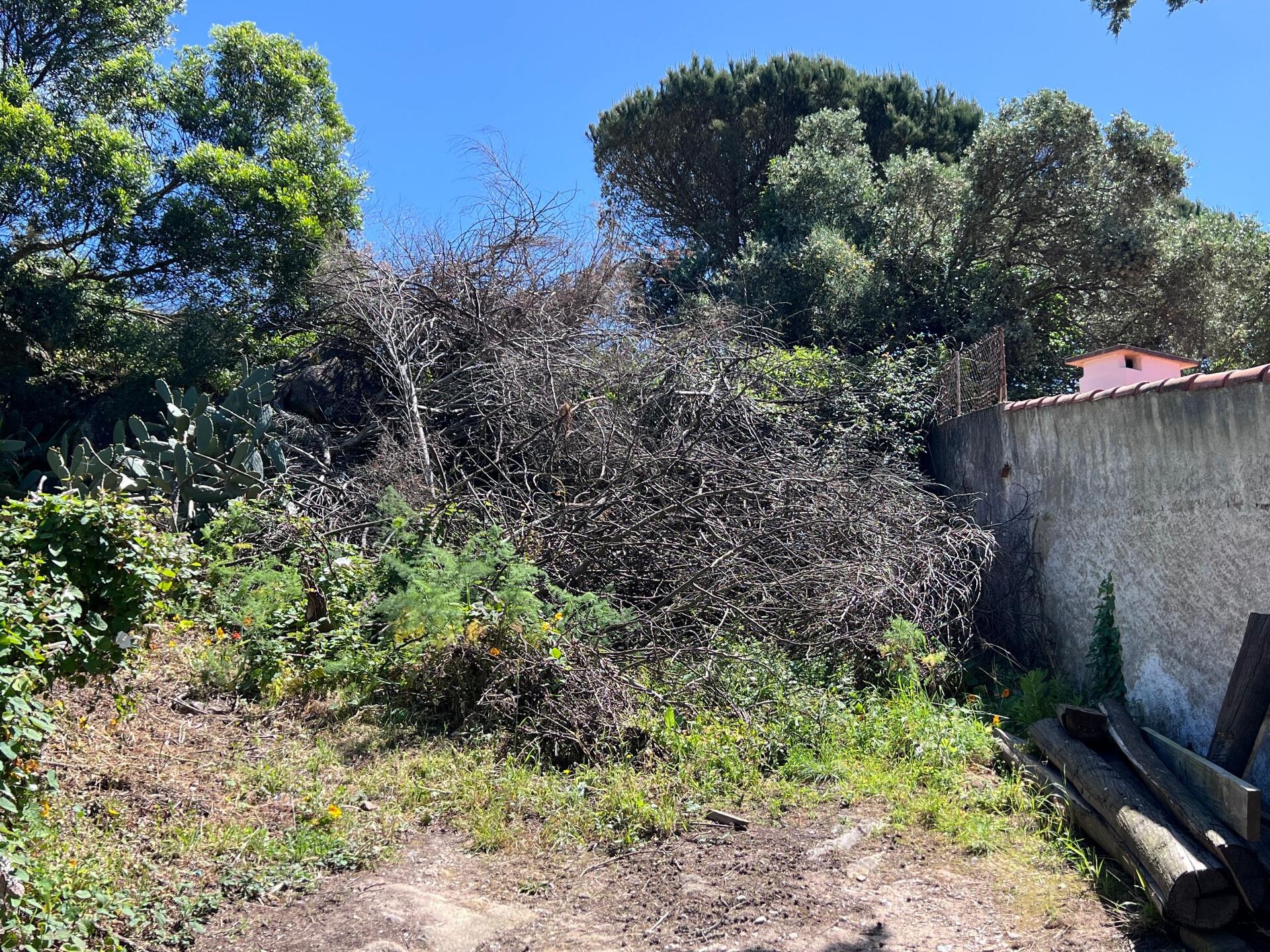 Terreno à Venda em Alcabideche - Lisboa - Portugal - 3