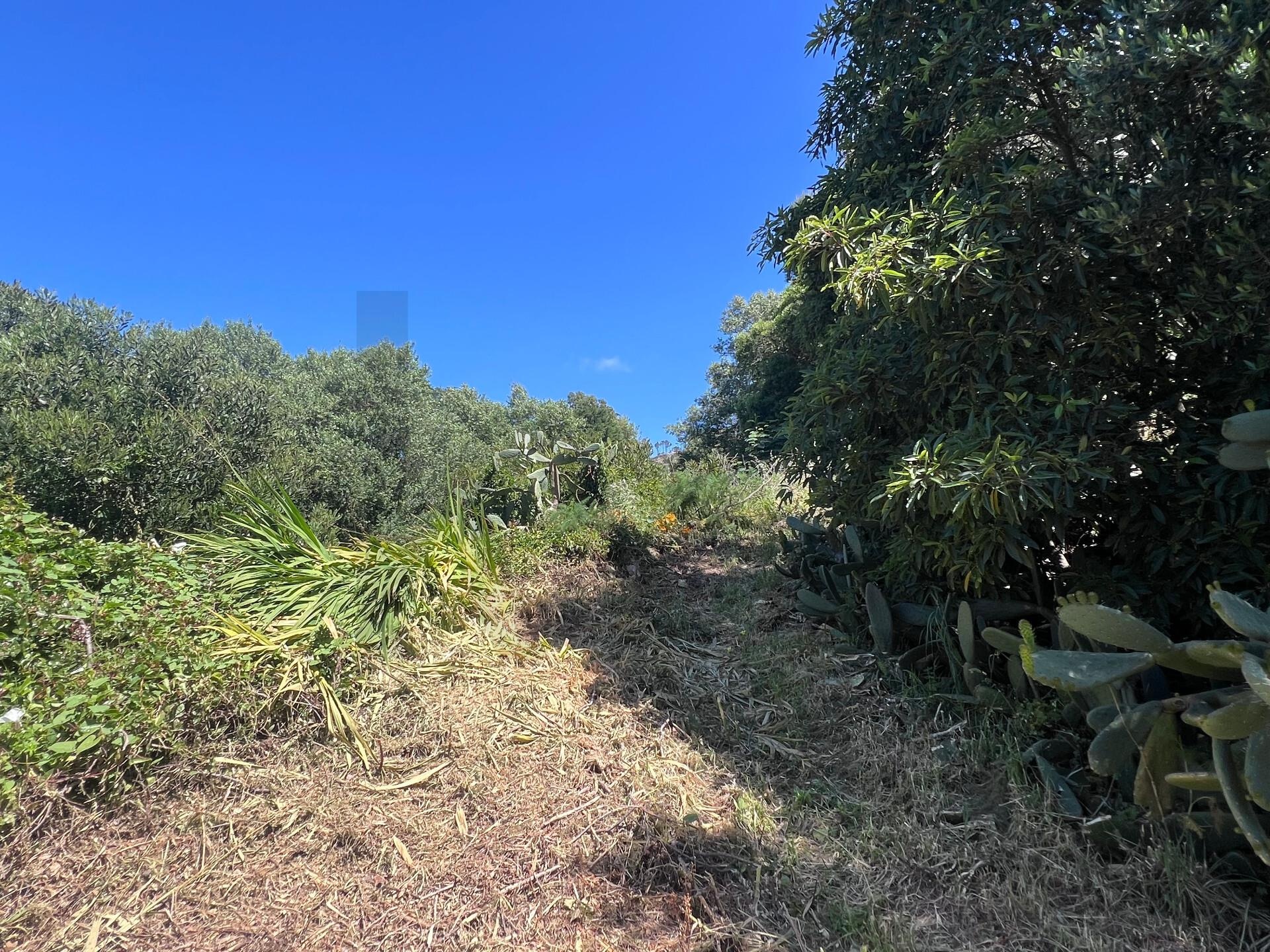 Terreno à Venda em Alcabideche - Lisboa - Portugal - 4