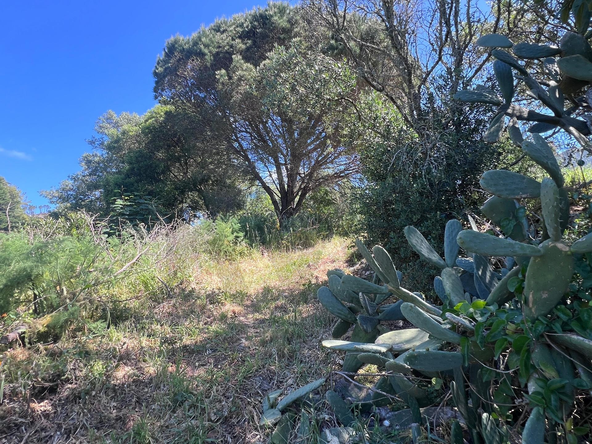 Terreno à Venda em Alcabideche - Lisboa - Portugal - 5