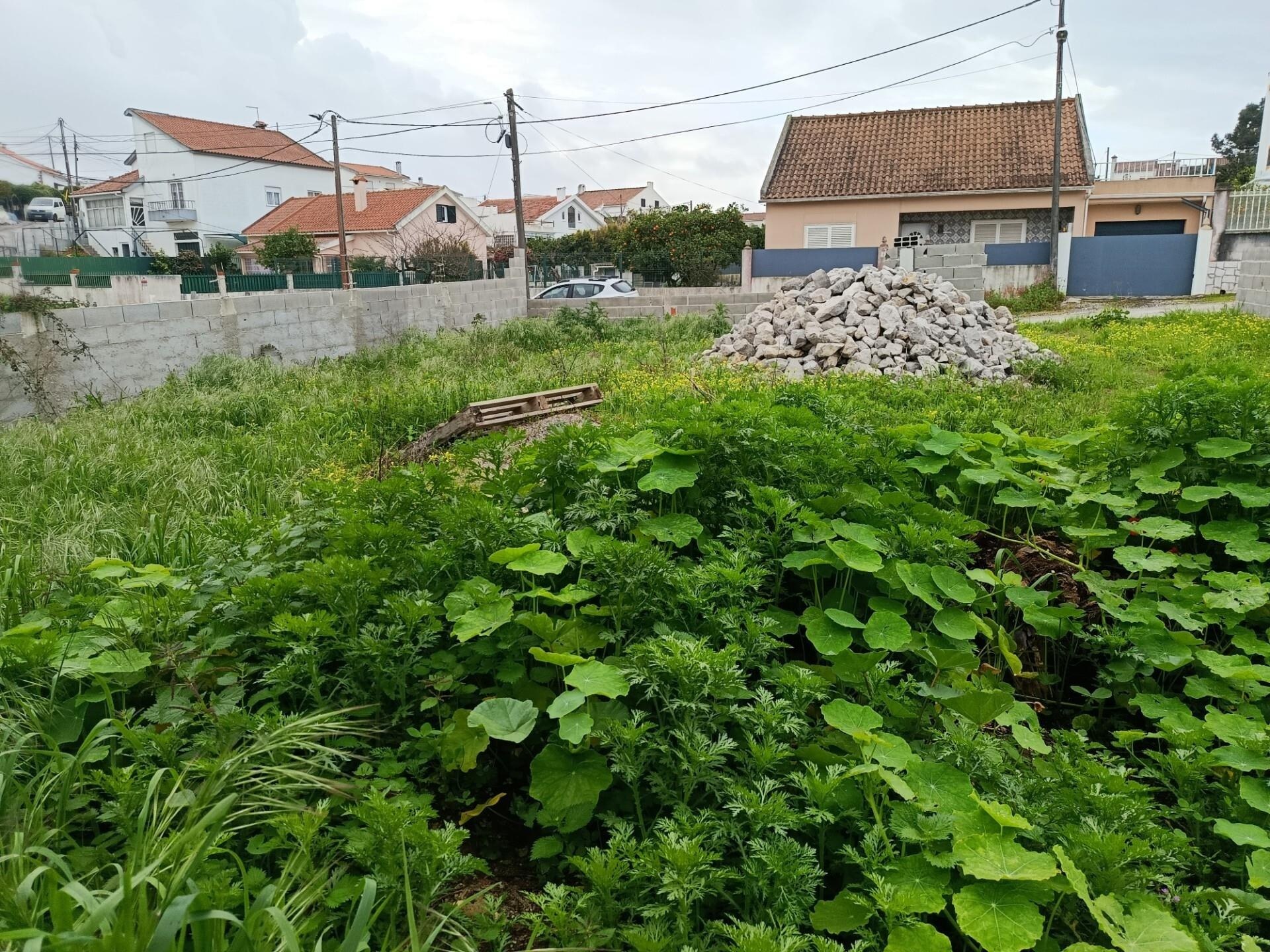 Terreno  à Venda em Almada - Setúbal - Portugal - 6