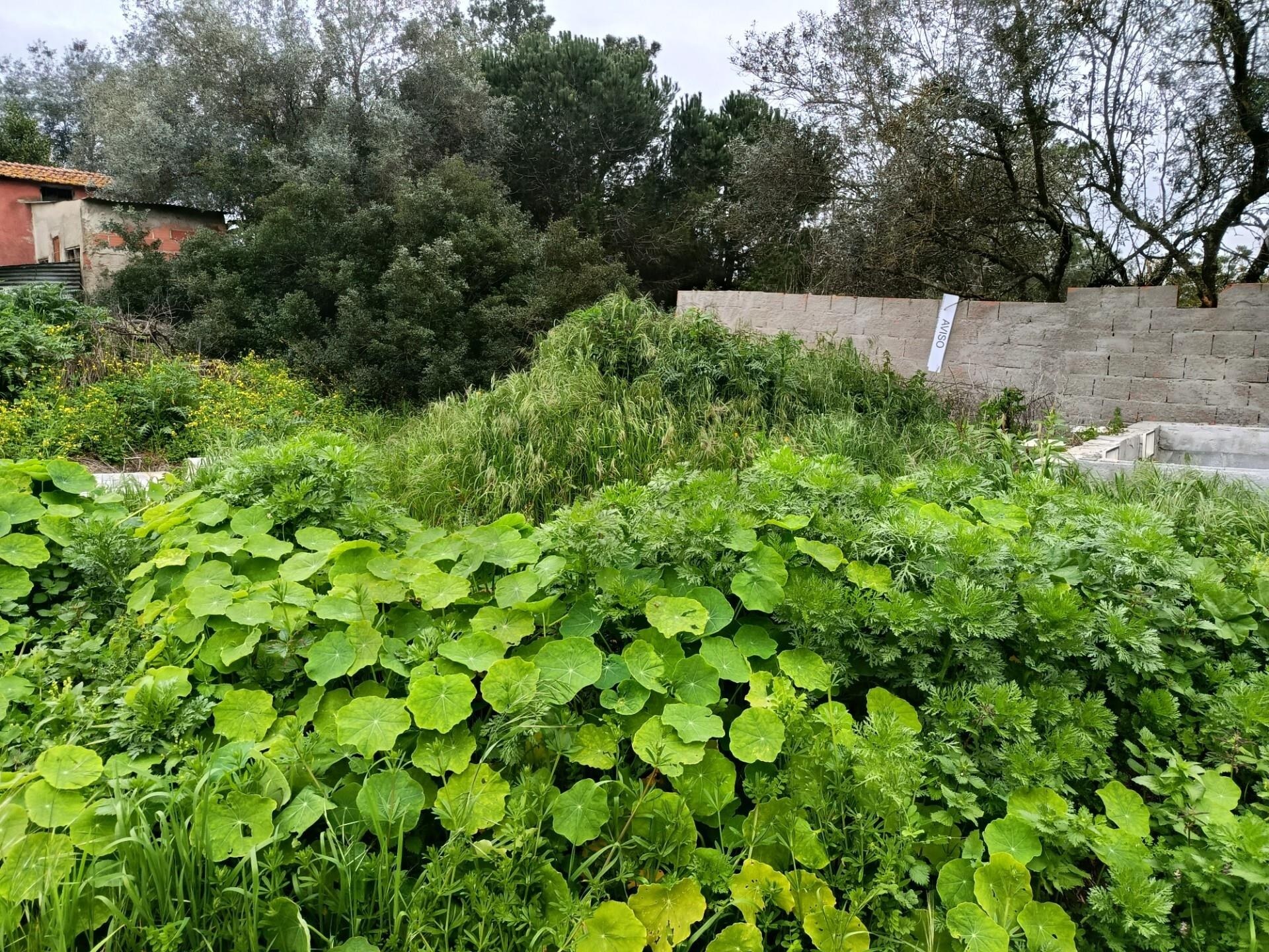 Terreno  à Venda em Almada - Setúbal - Portugal - 7